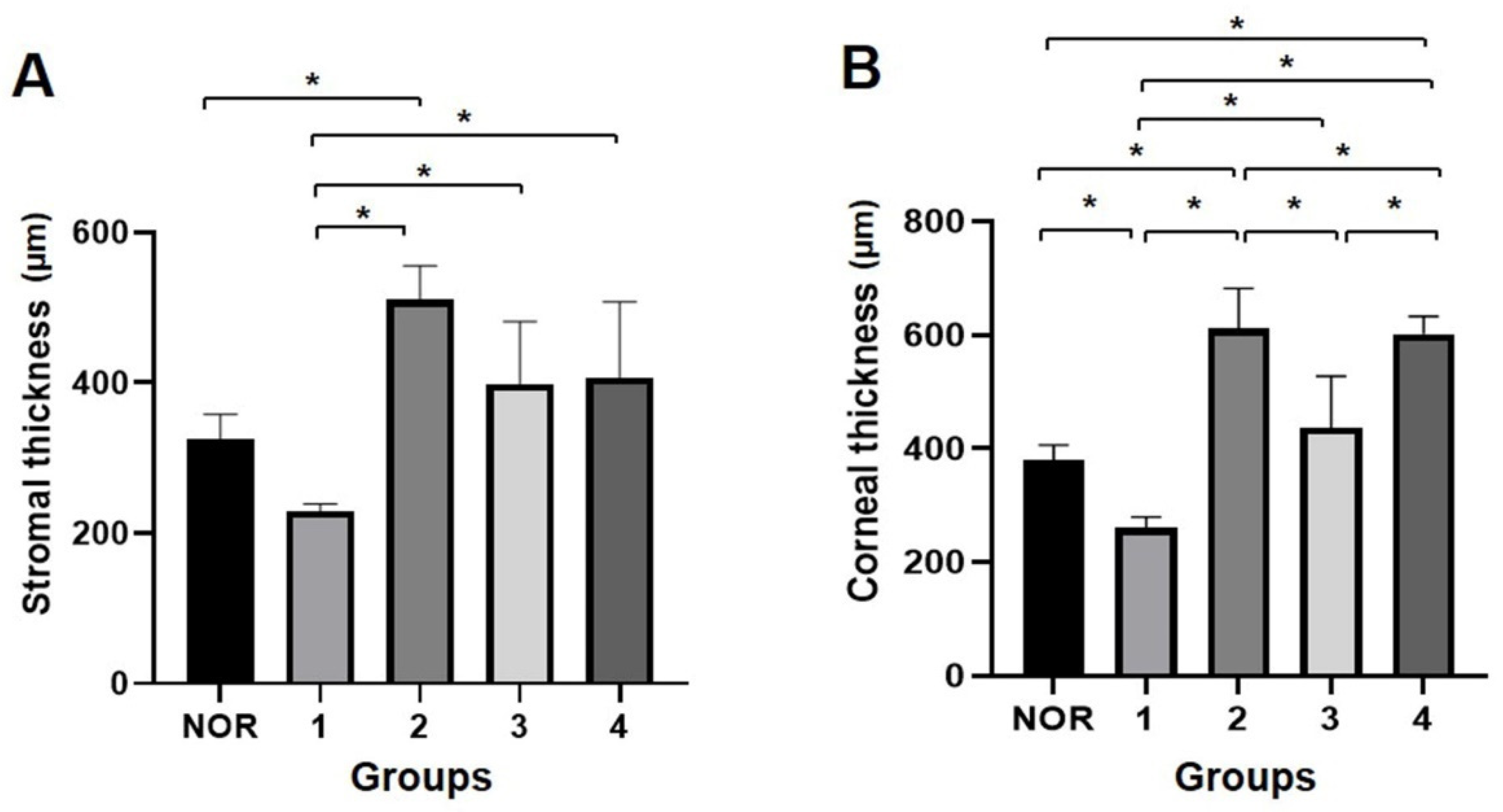Bioengineering 09 00405 g010
