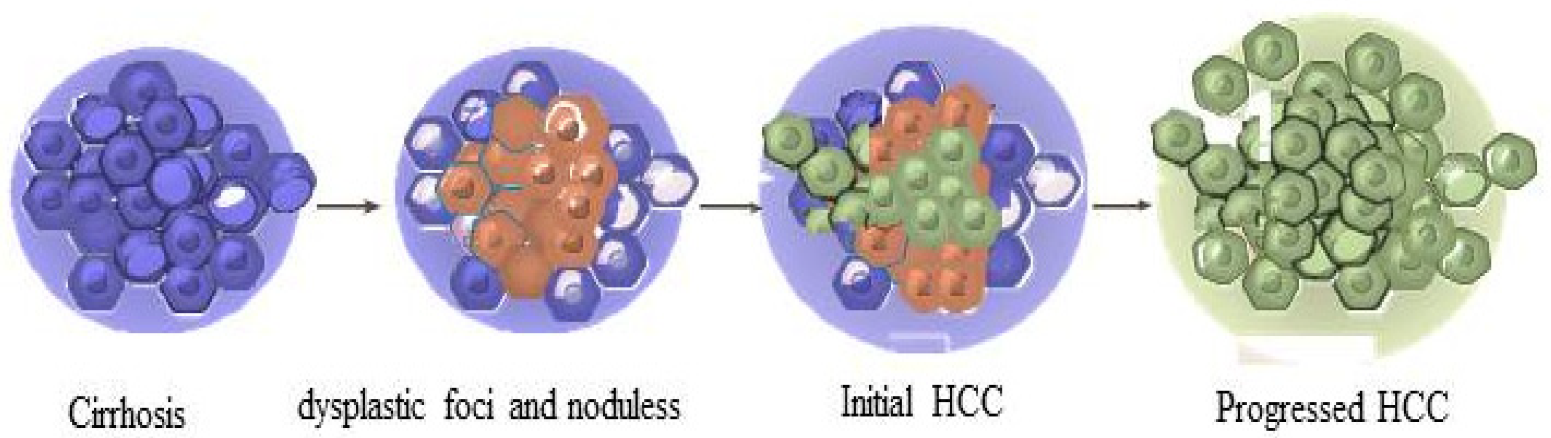 Bioengineering 09 00406 g001 550
