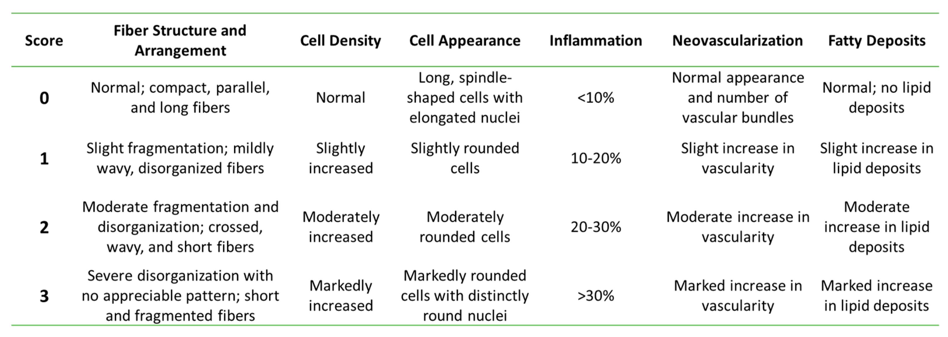 Bioengineering 09 00407 g001 550