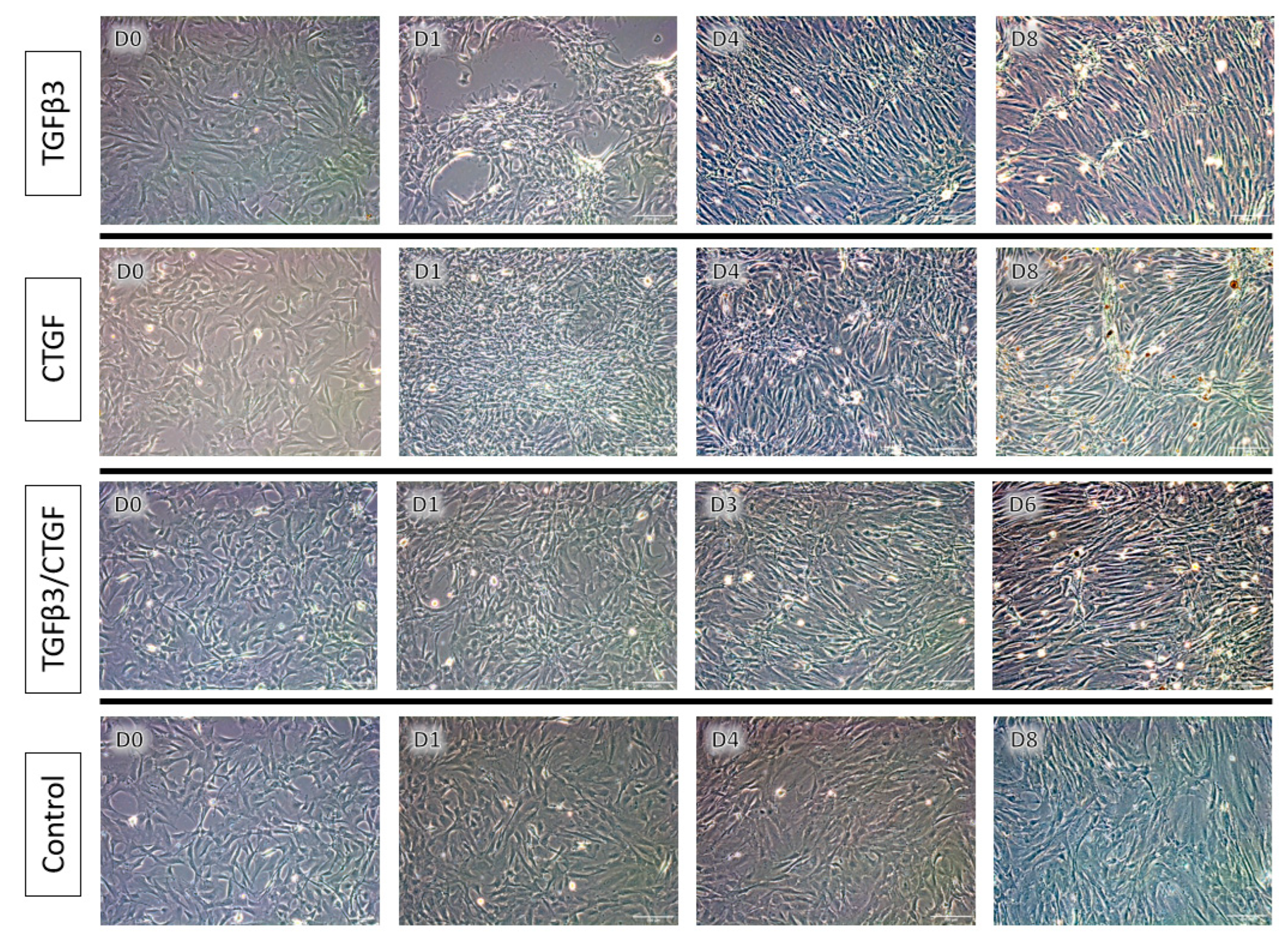 Bioengineering 09 00407 g003 550