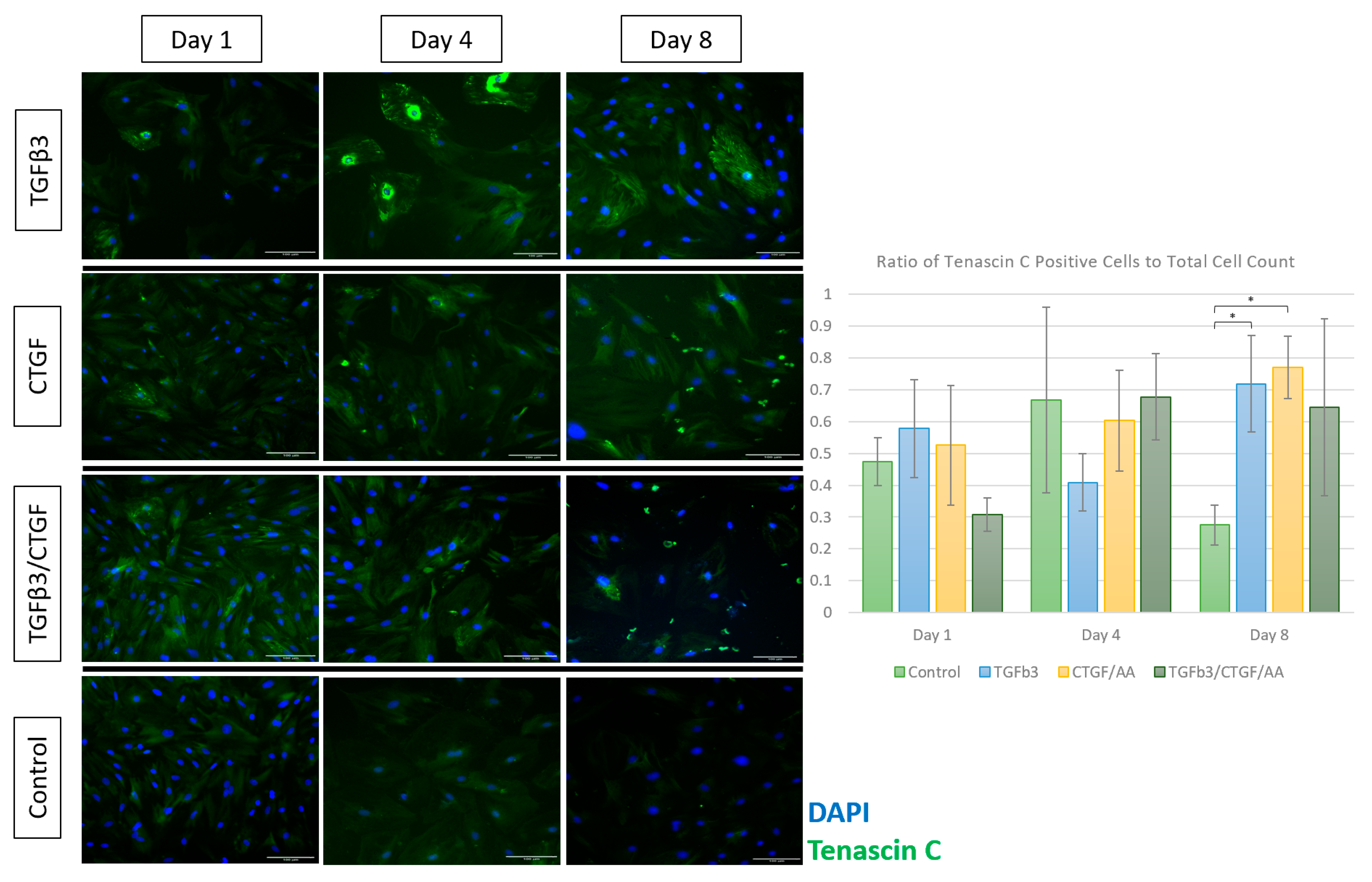 Bioengineering 09 00407 g005 550