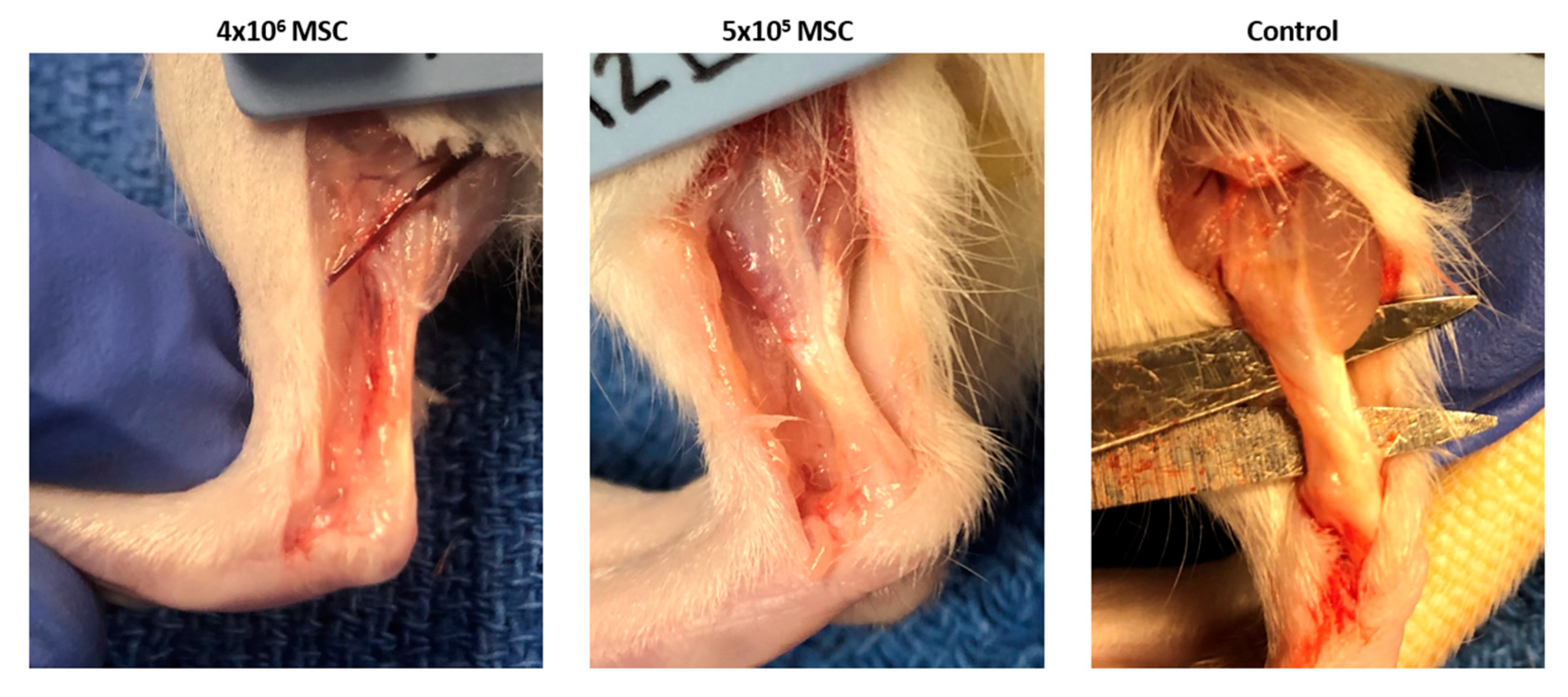 Bioengineering 09 00407 g007 550