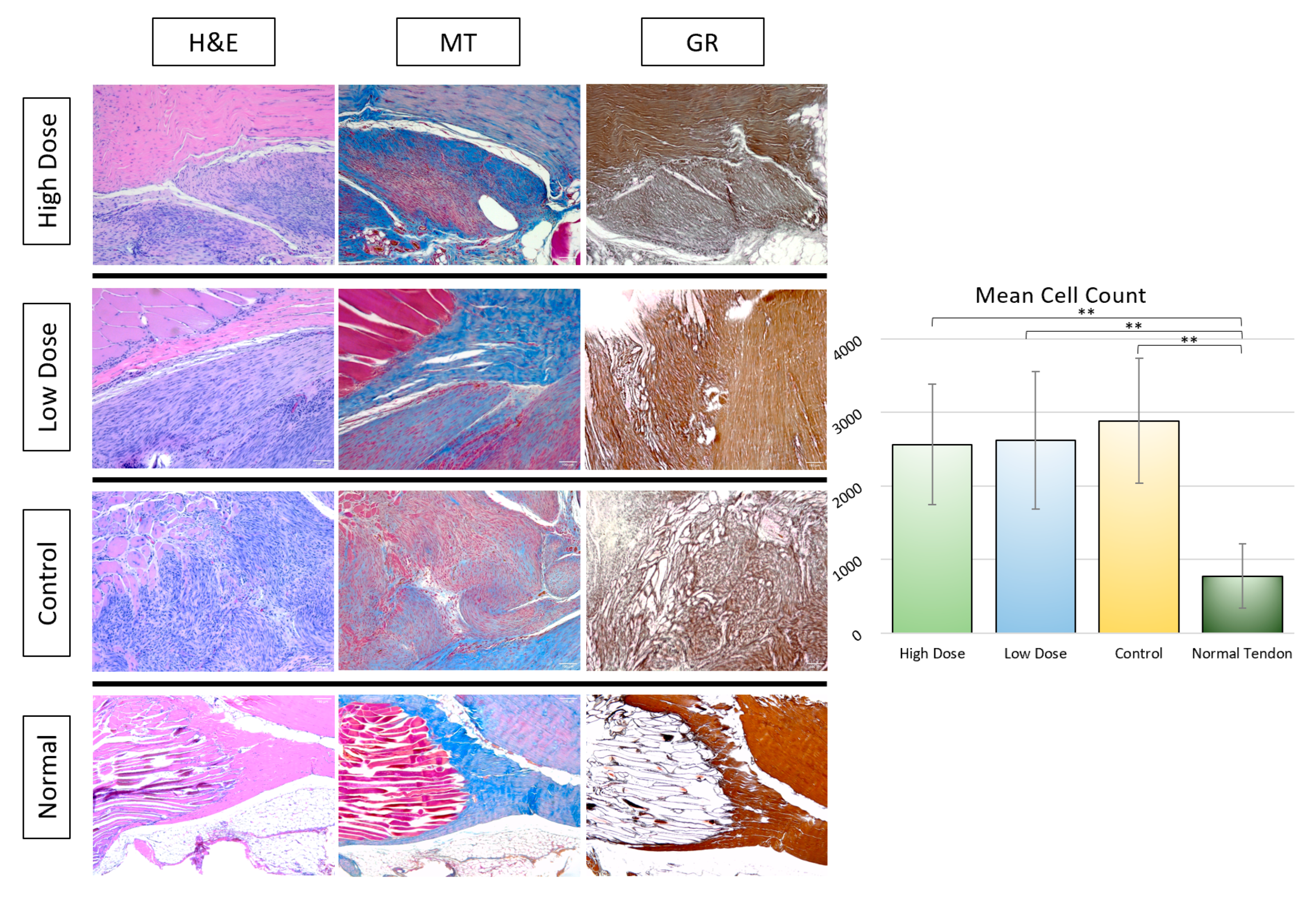 Bioengineering 09 00407 g009 550