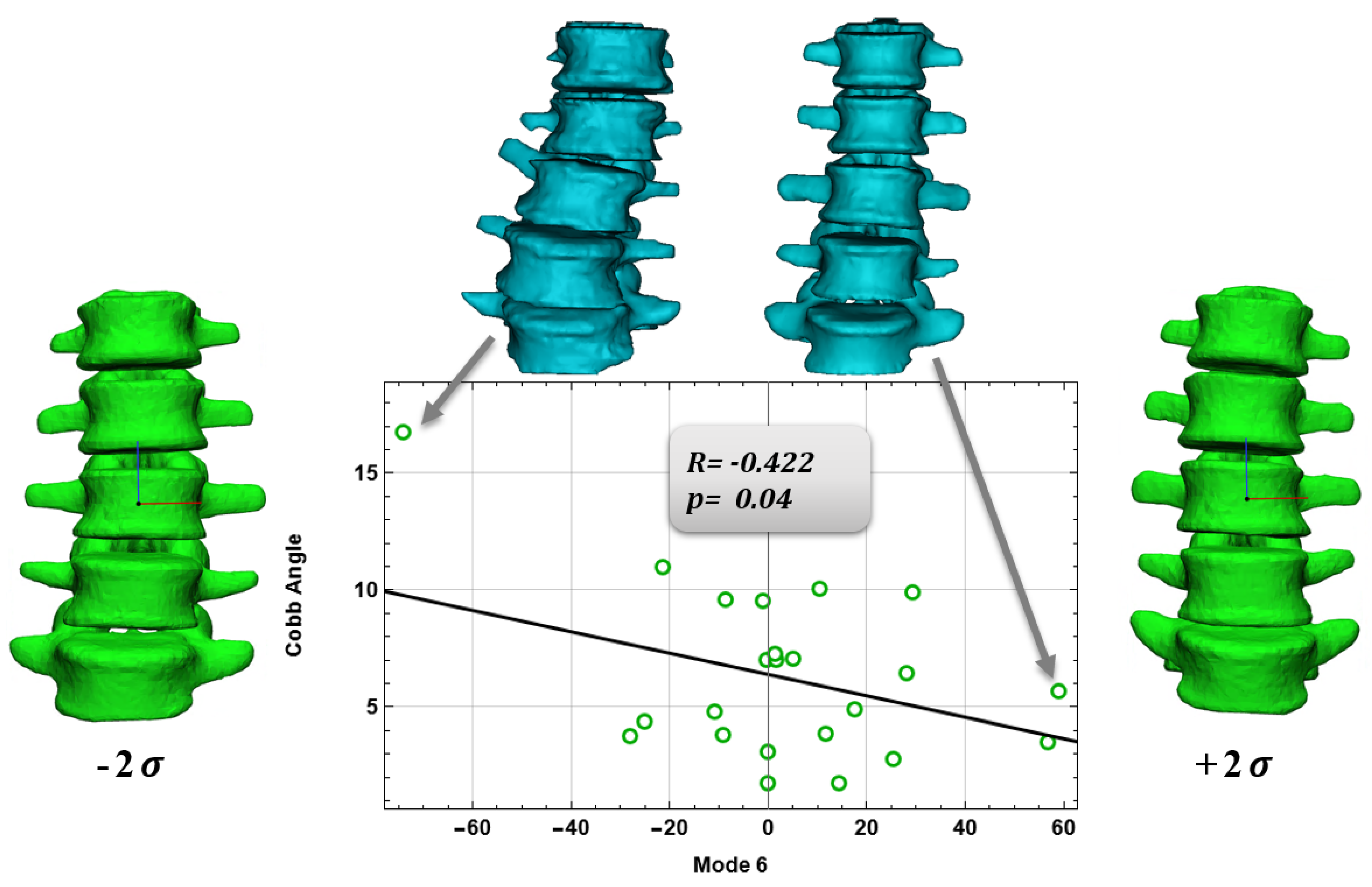Bioengineering 09 00408 g005