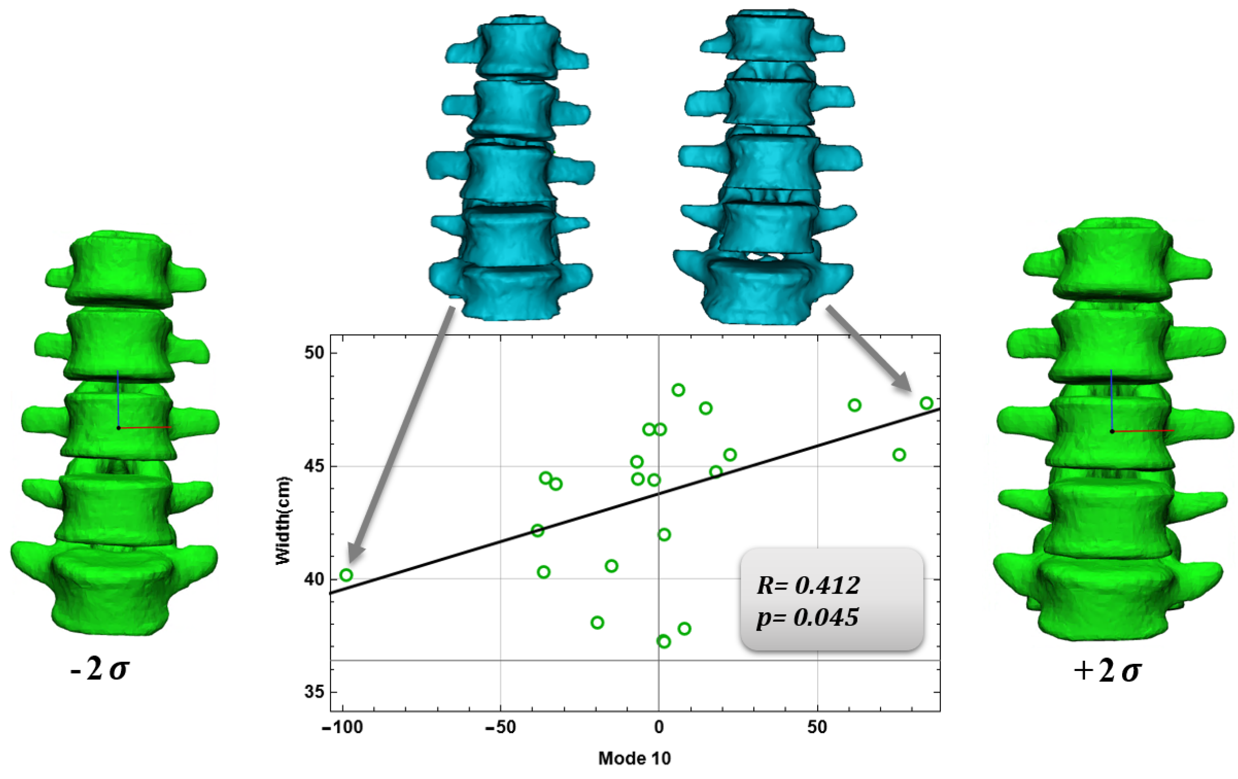 Bioengineering 09 00408 g006