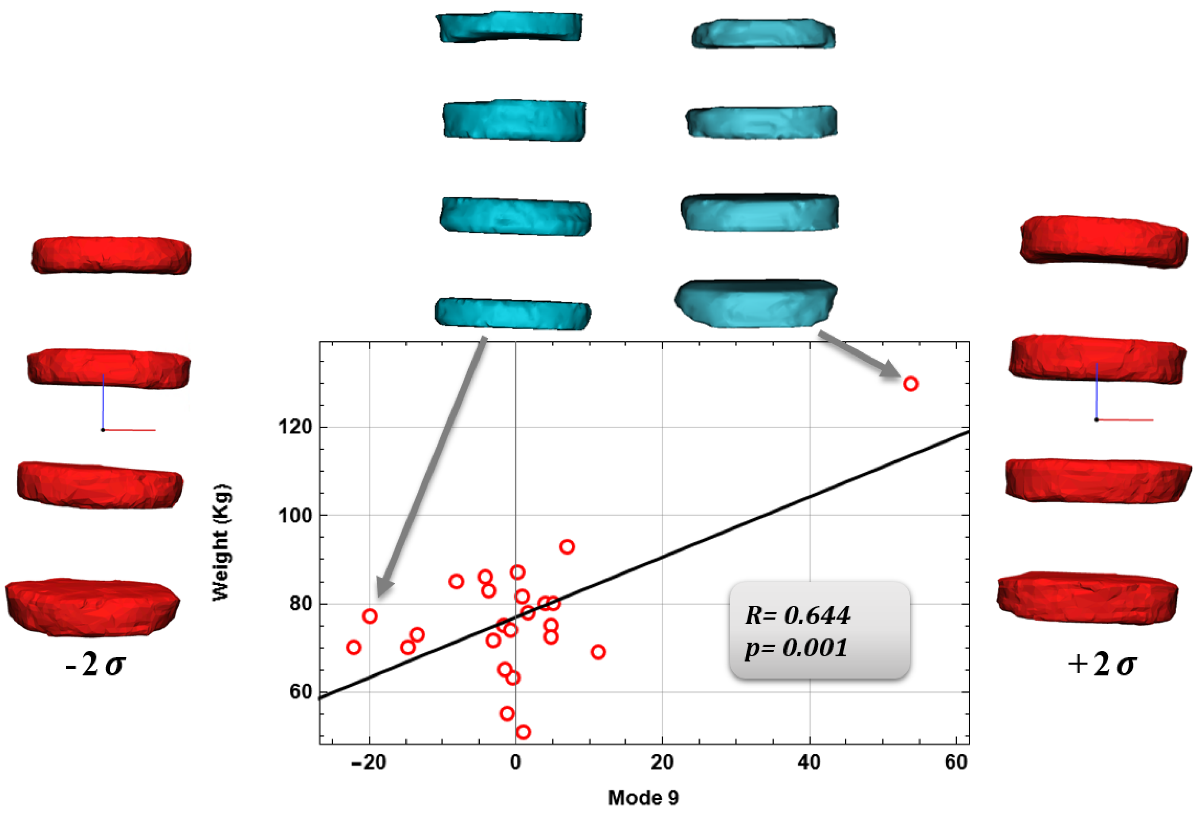 Bioengineering 09 00408 g007
