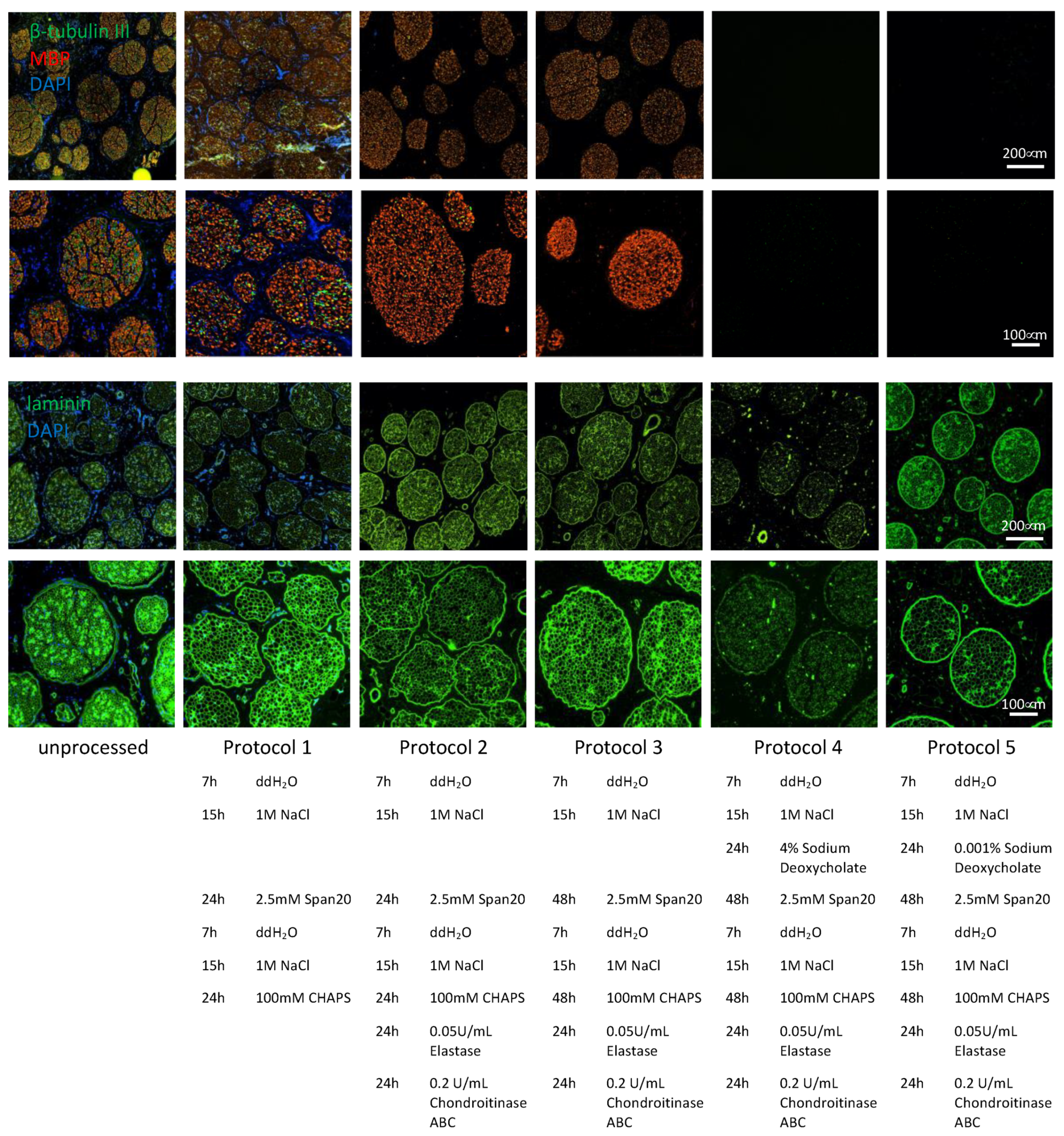 Bioengineering 09 00412 g002 550