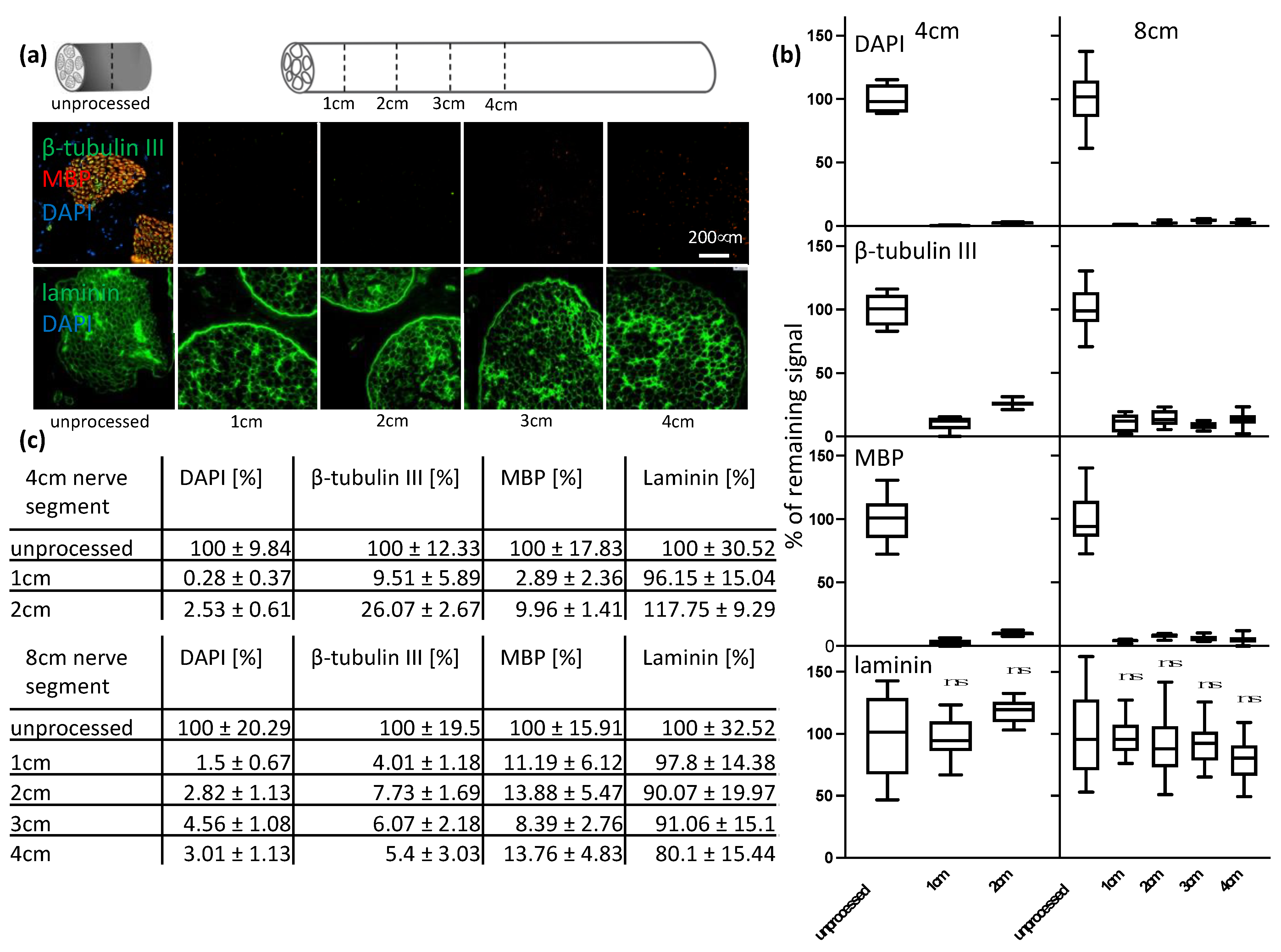 Bioengineering 09 00412 g003 550