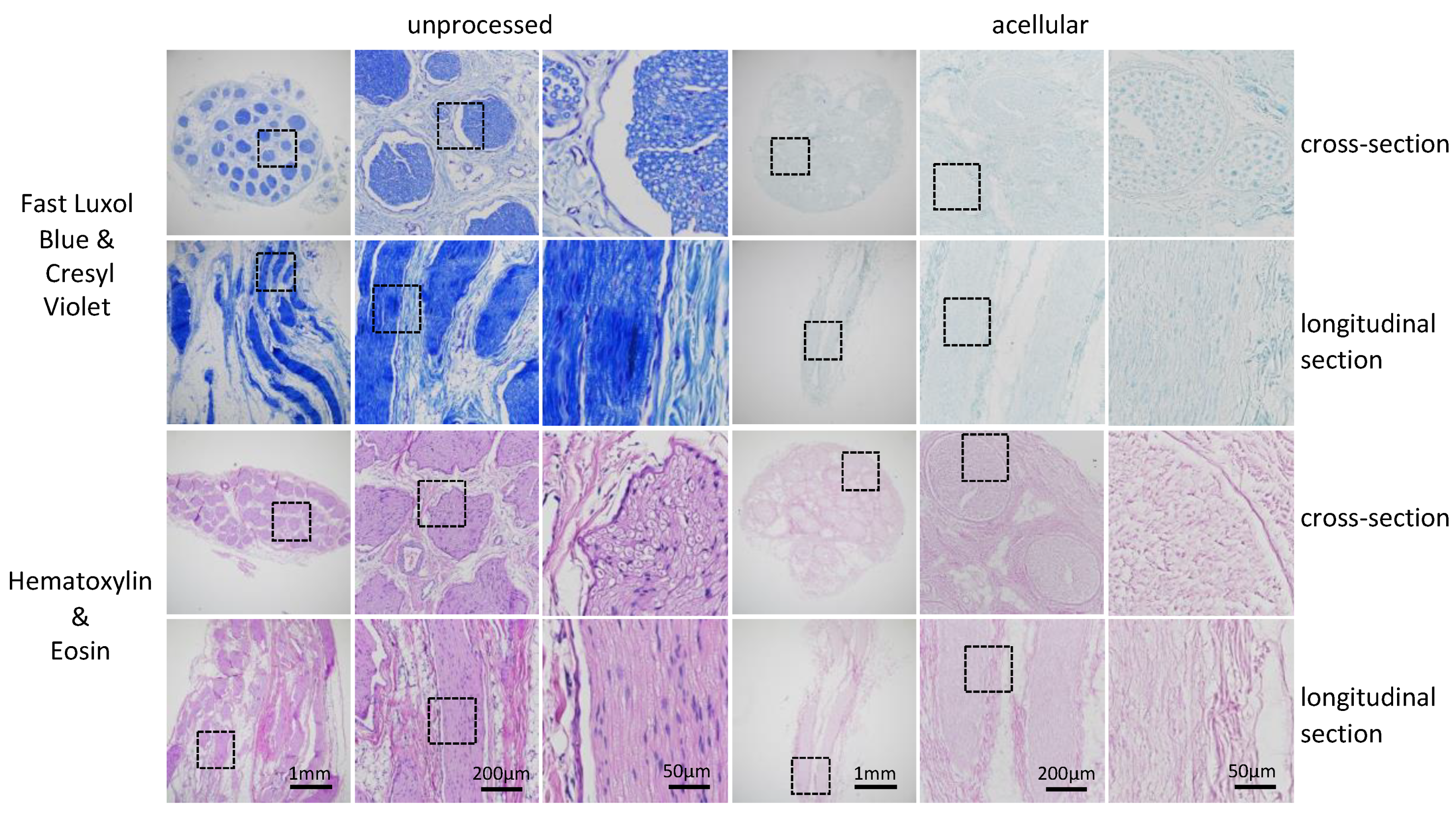 Bioengineering 09 00412 g004 550