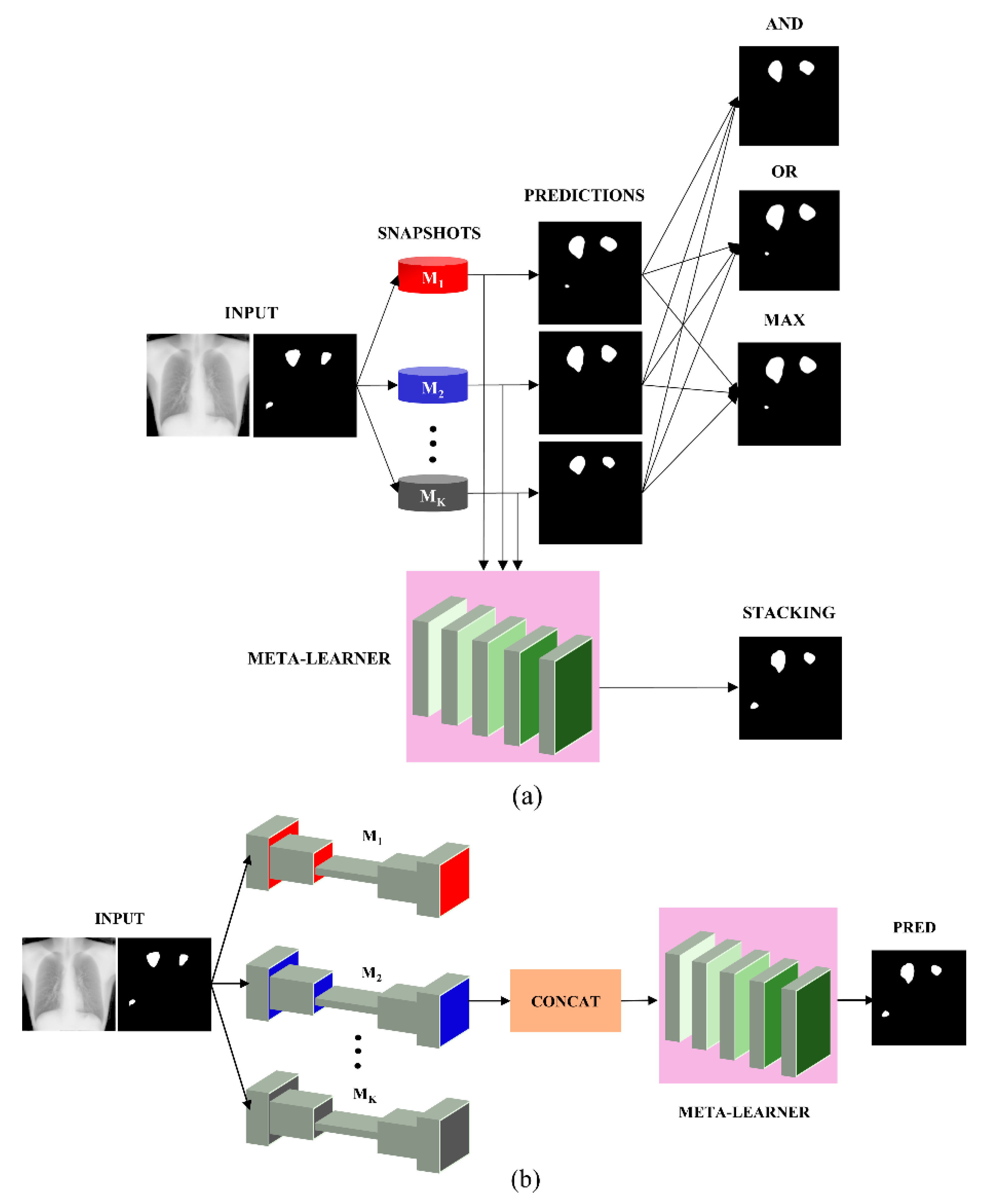 Bioengineering 09 00413 g002 550