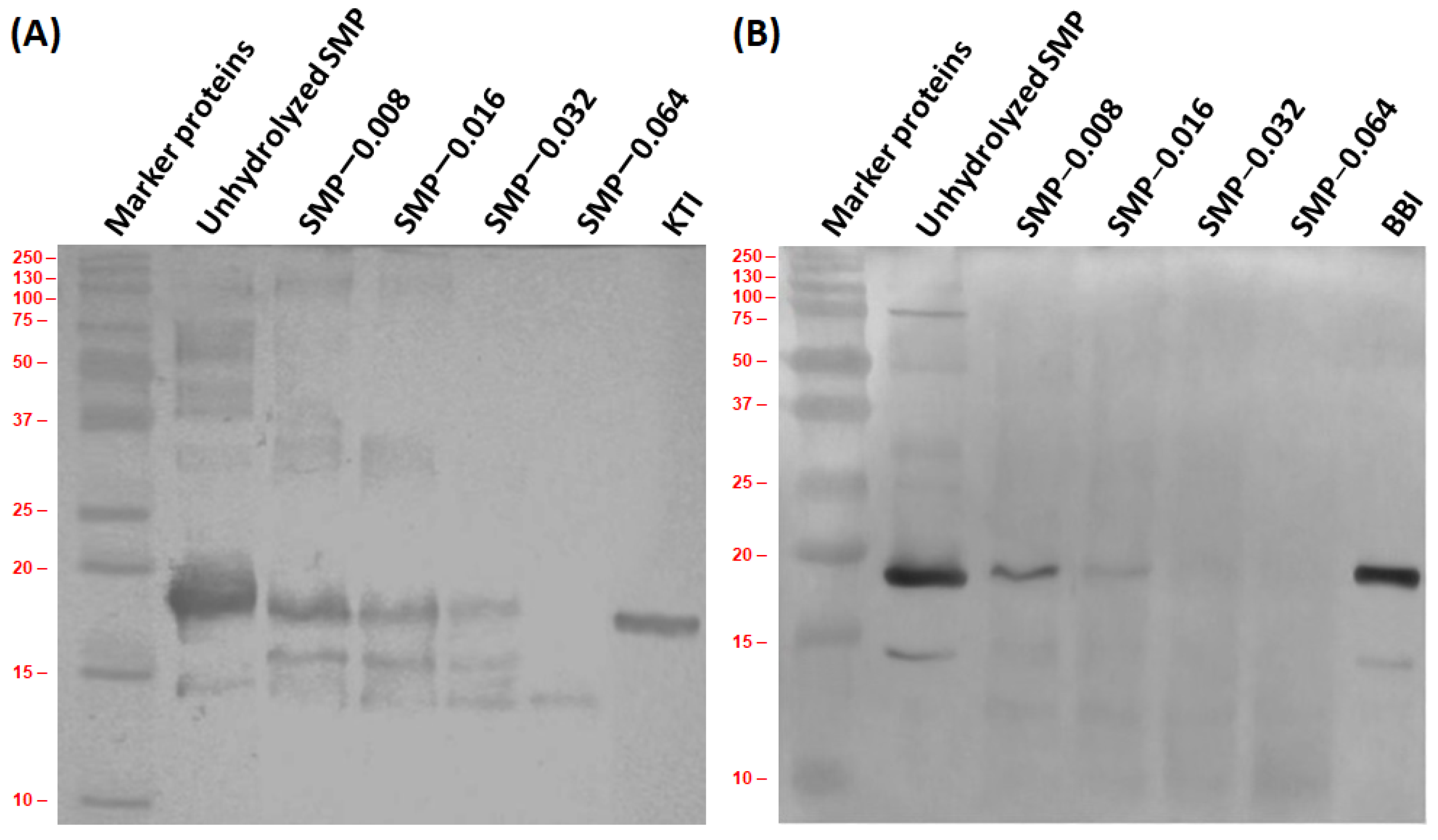 Bioengineering 09 00418 g004