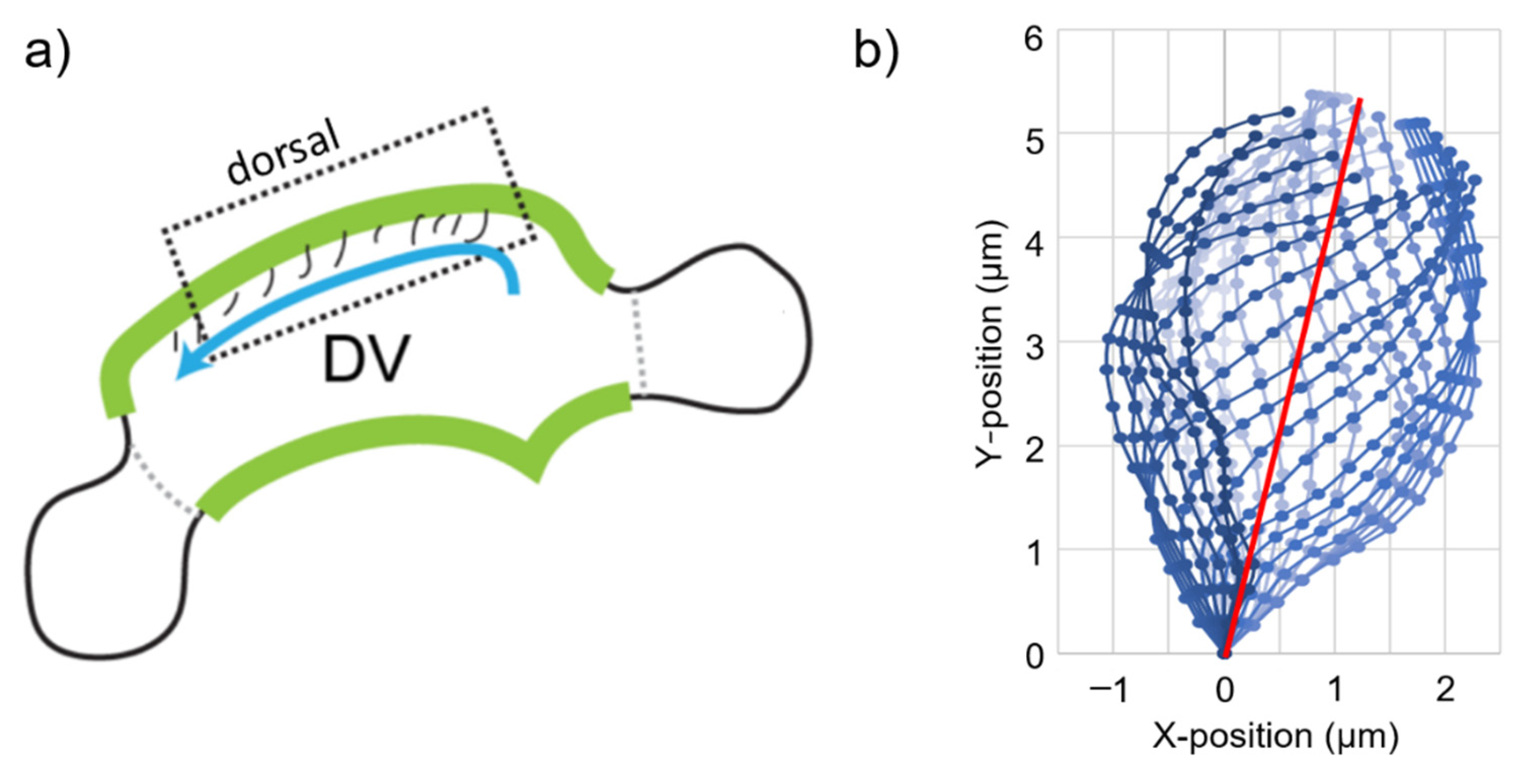 Bioengineering 09 00421 g001