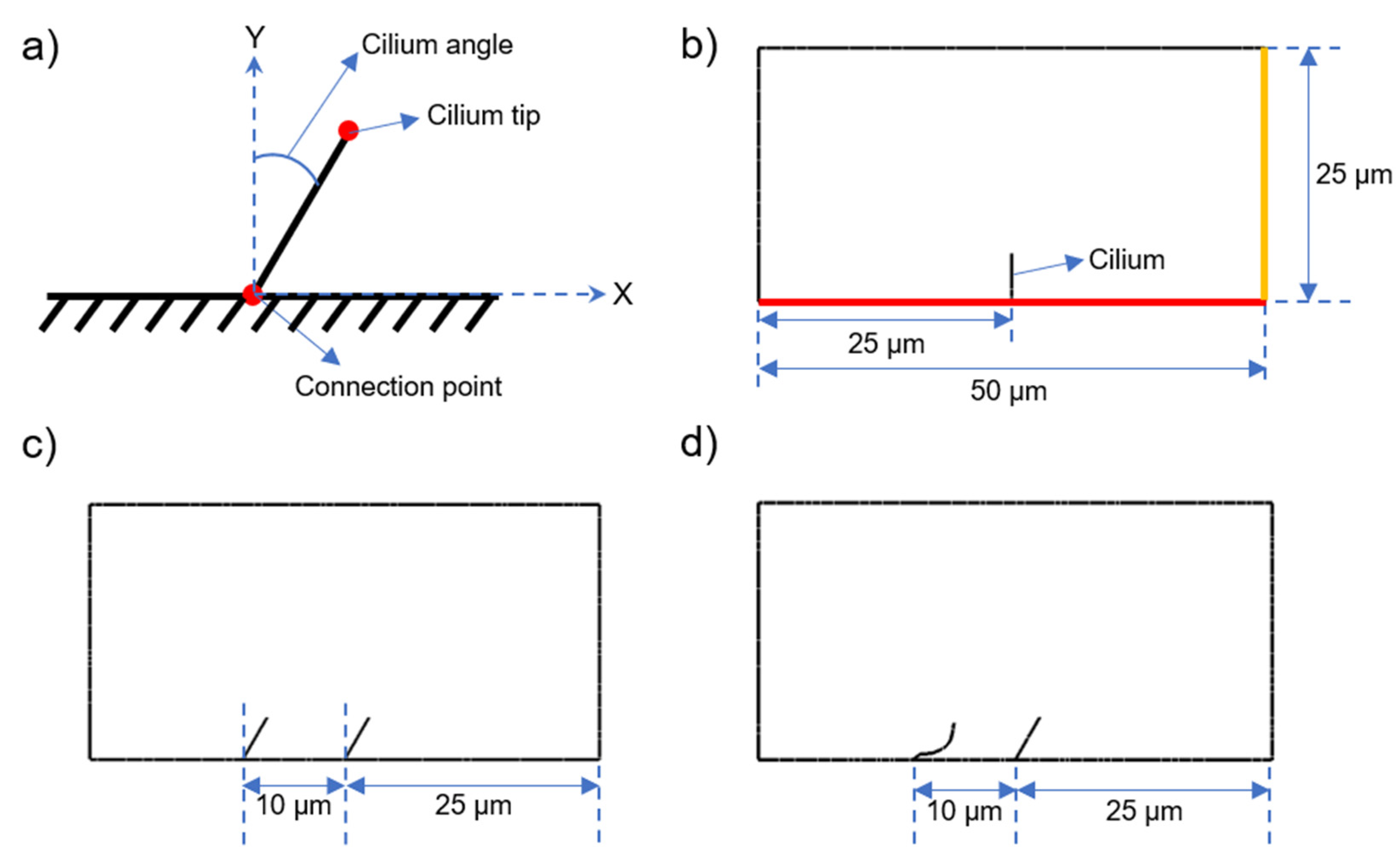 Bioengineering 09 00421 g002