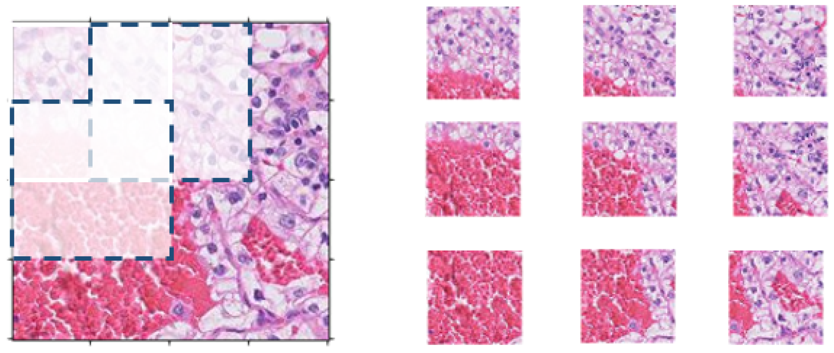 Bioengineering 09 00423 g007 550