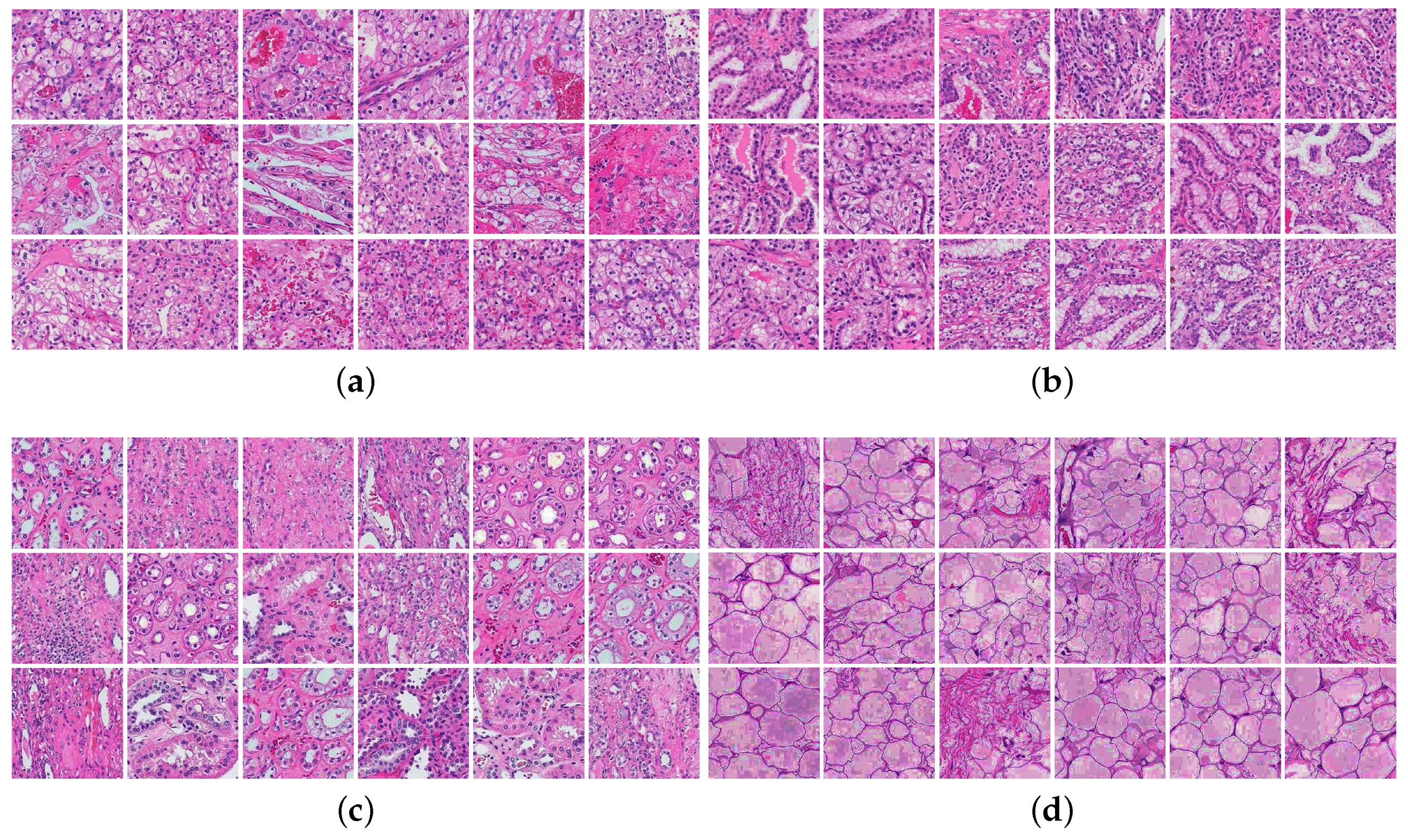 Bioengineering 09 00423 g009 550