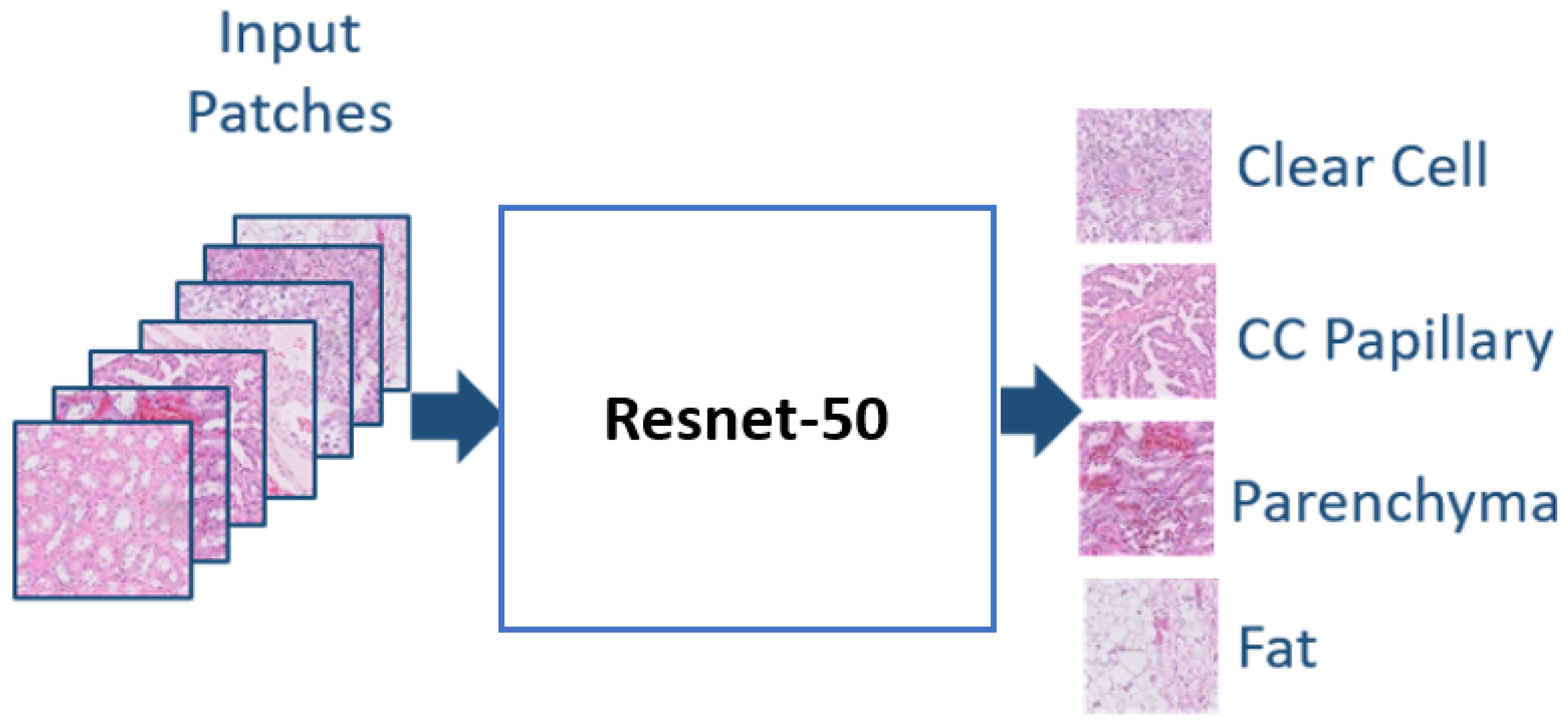 Bioengineering 09 00423 g010 550