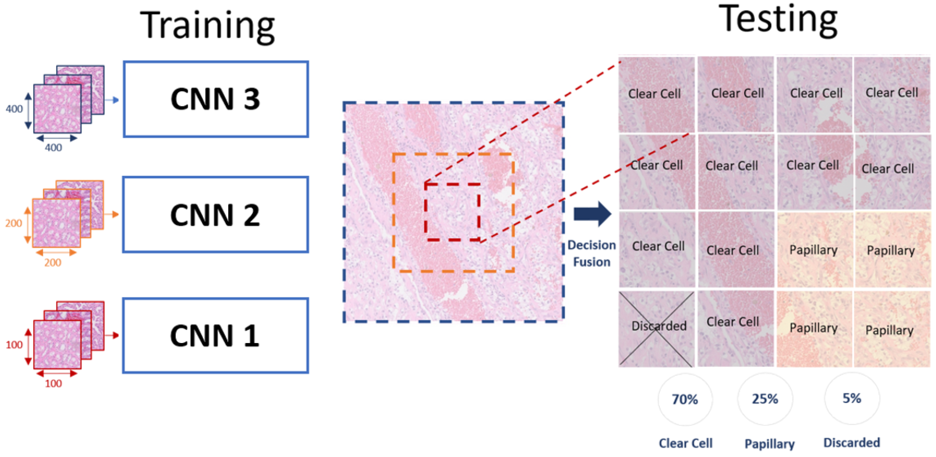 Bioengineering 09 00423 g011 550