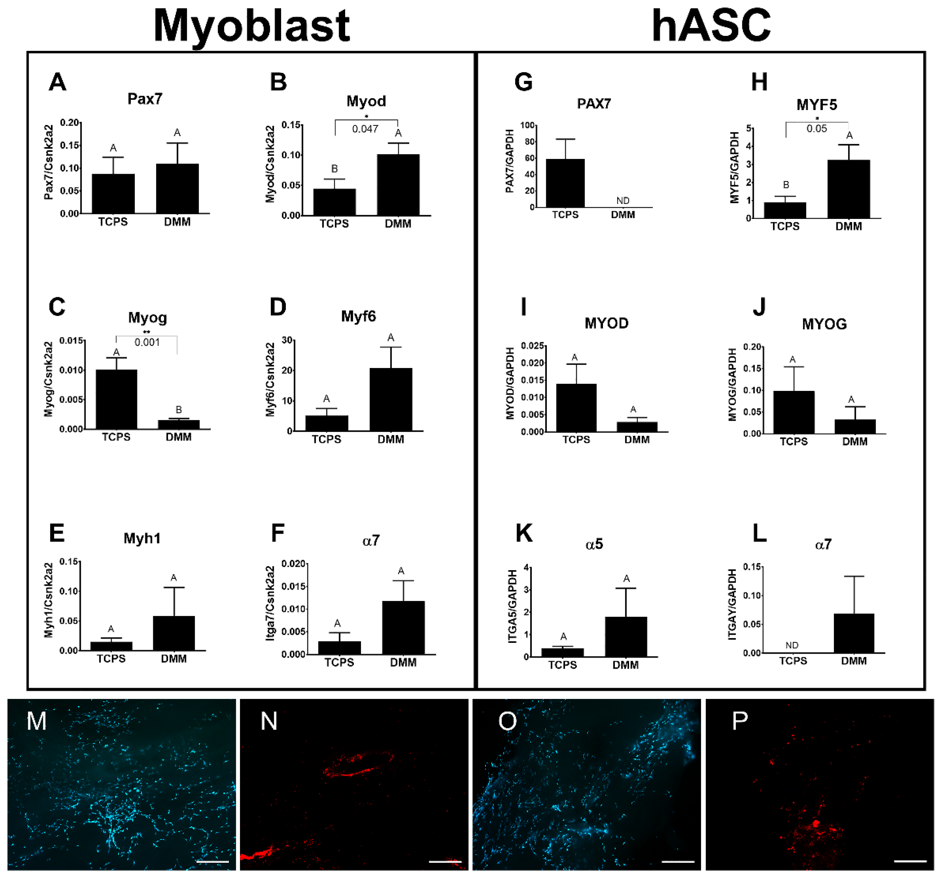 Bioengineering 09 00426 g002 550