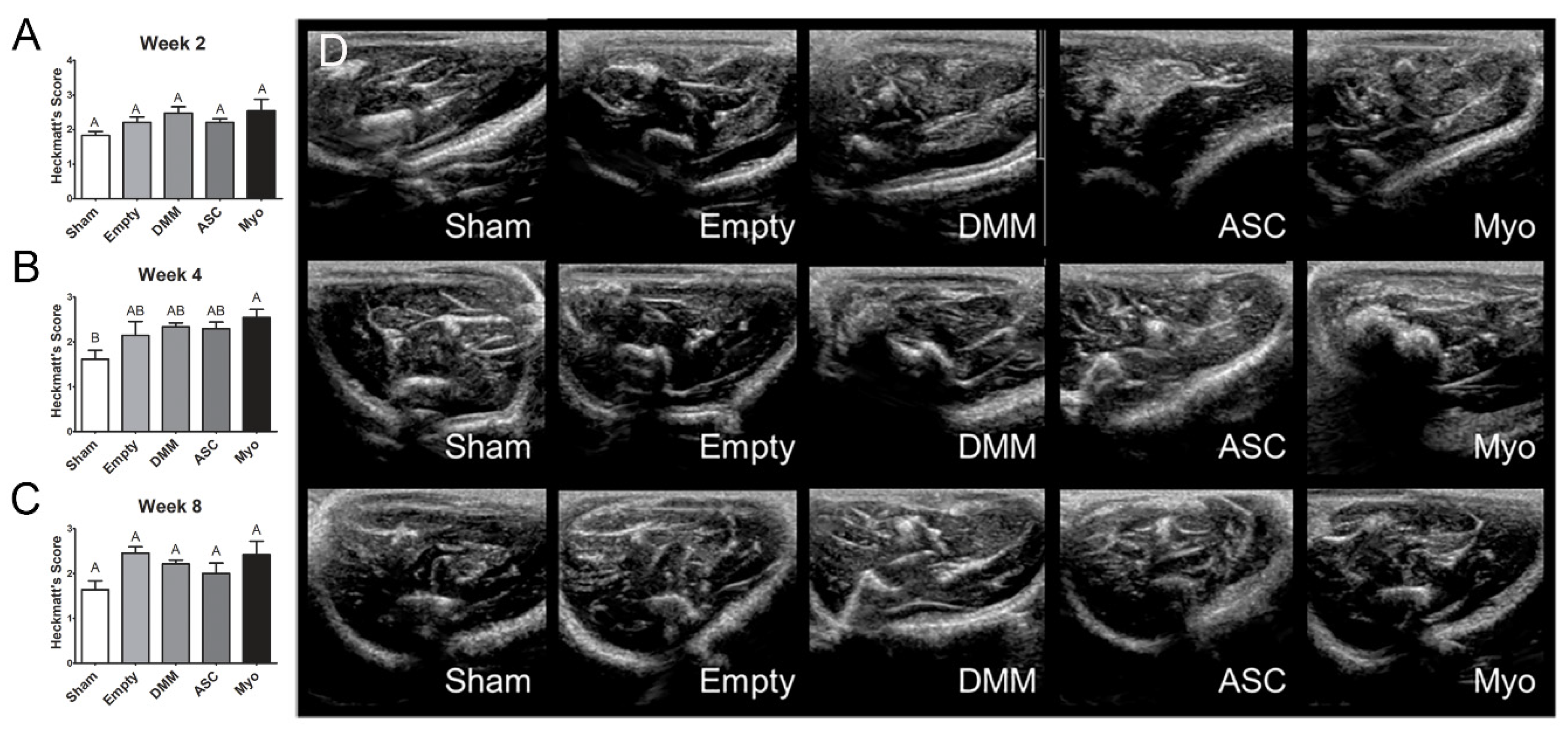 Bioengineering 09 00426 g004 550