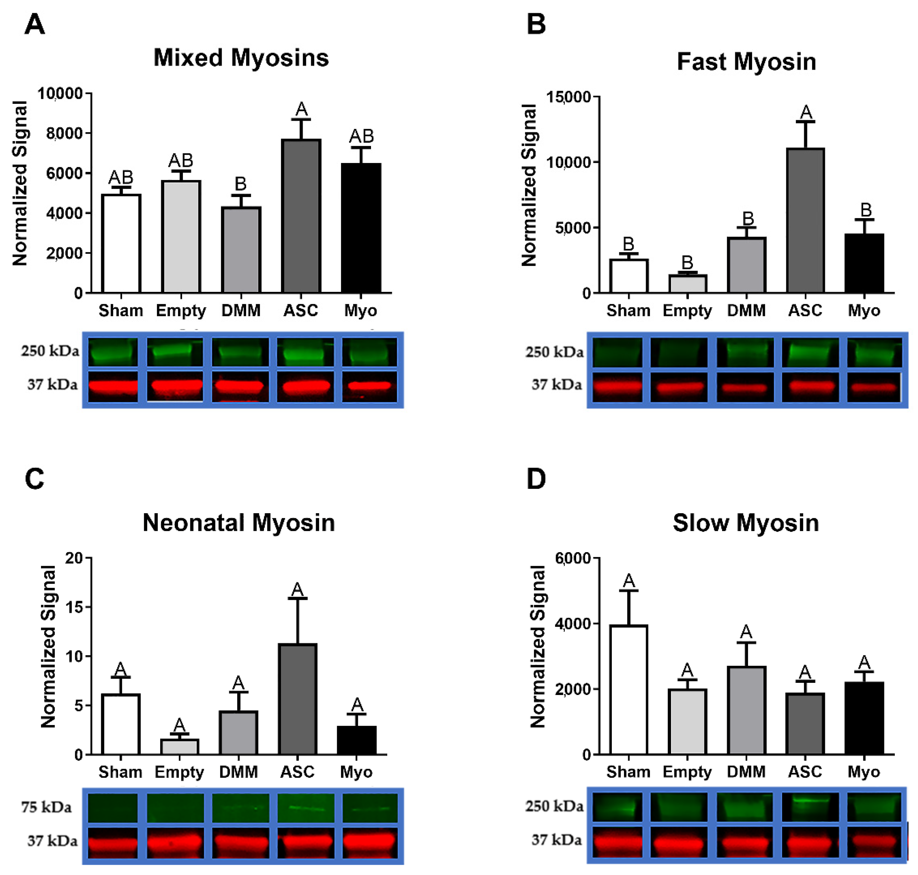 Bioengineering 09 00426 g006 550