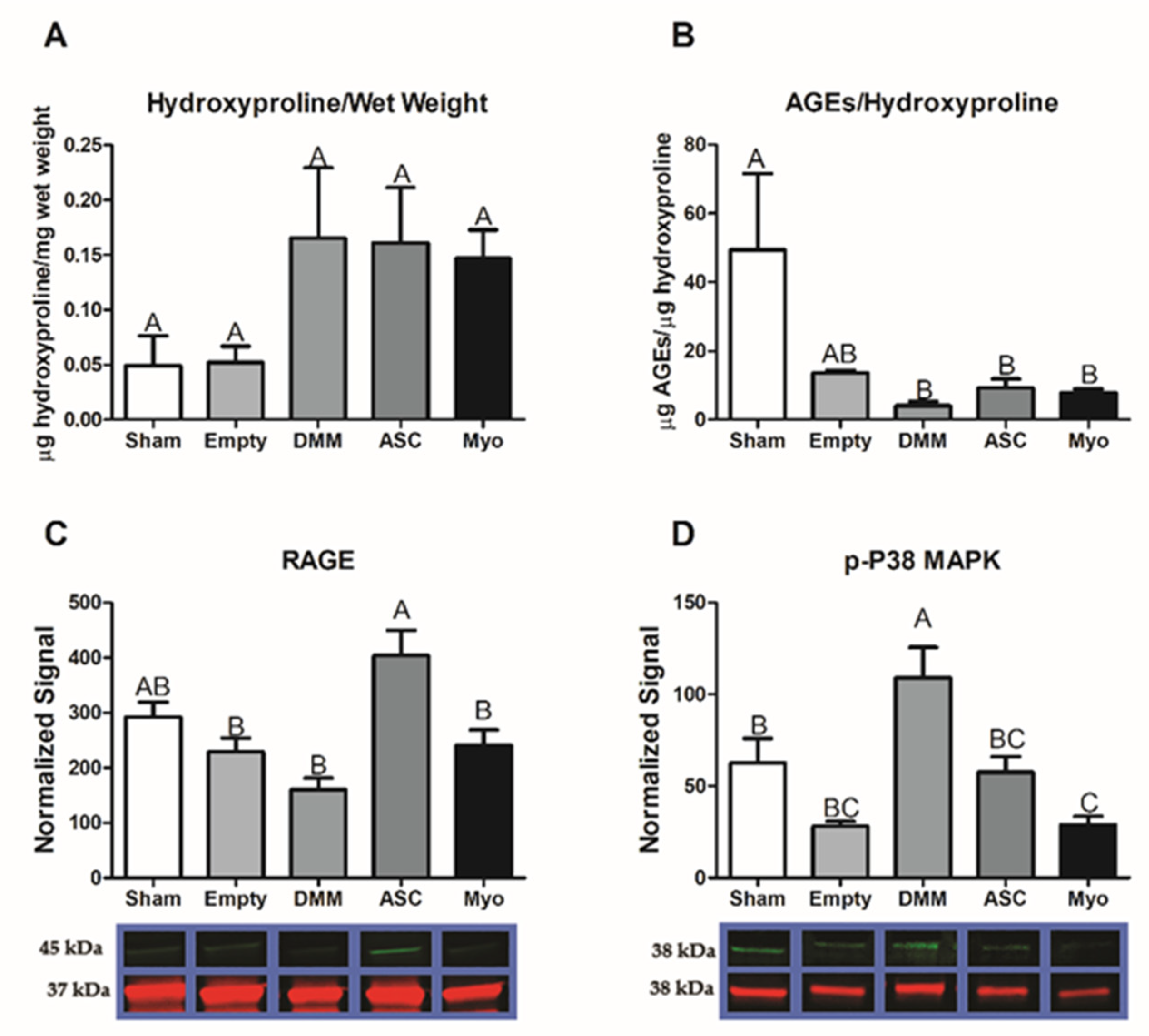 Bioengineering 09 00426 g007 550