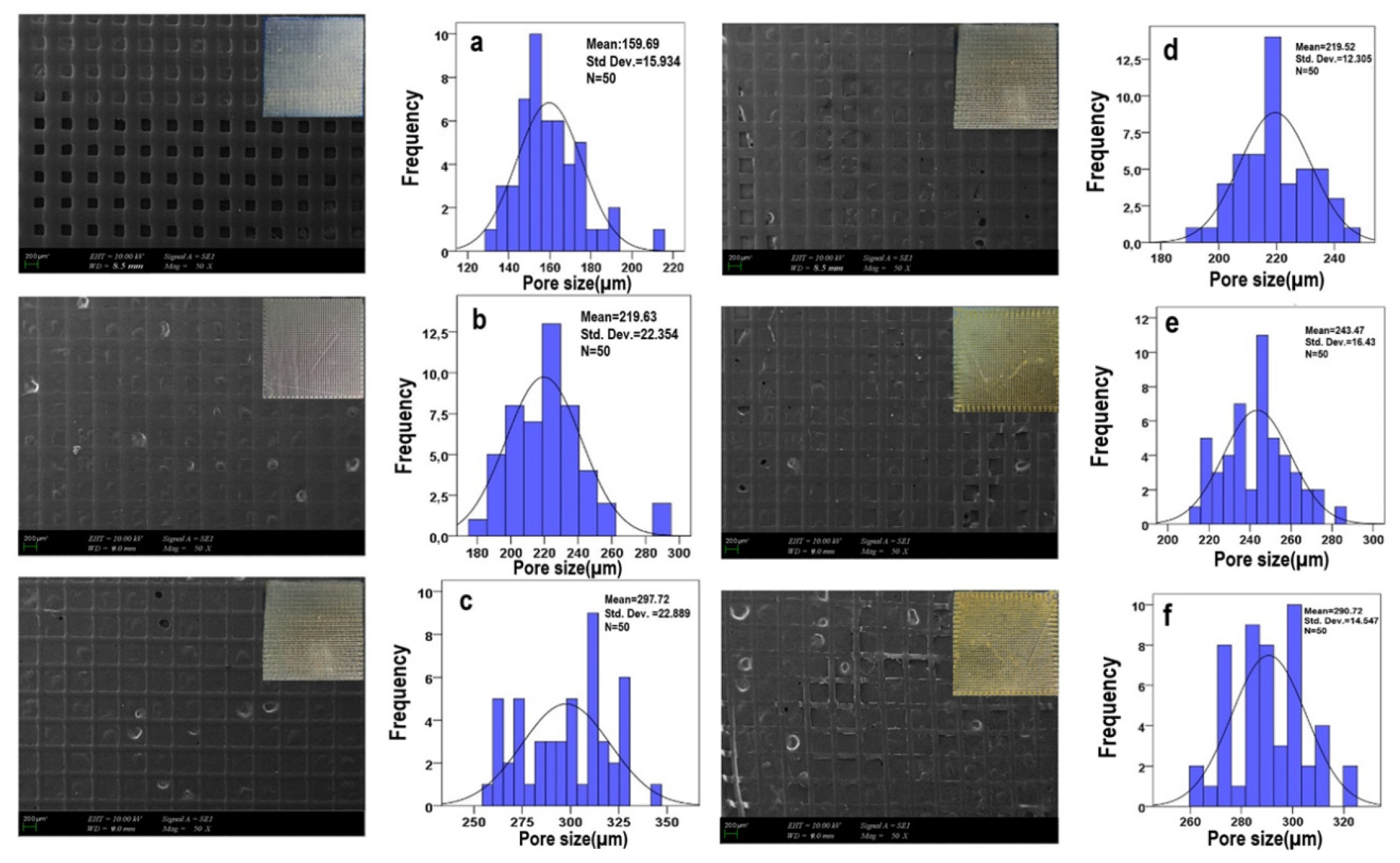 Bioengineering Free FullText 3DPrinted PCL Scaffolds Combined