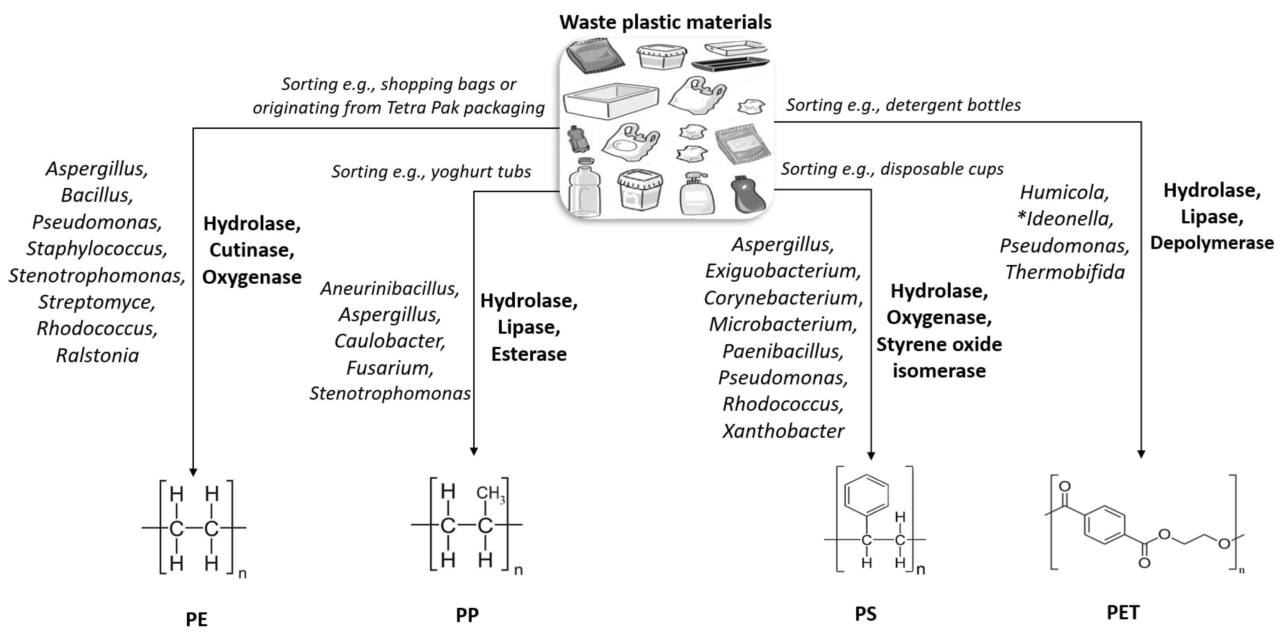 Bioengineering 09 00432 g004