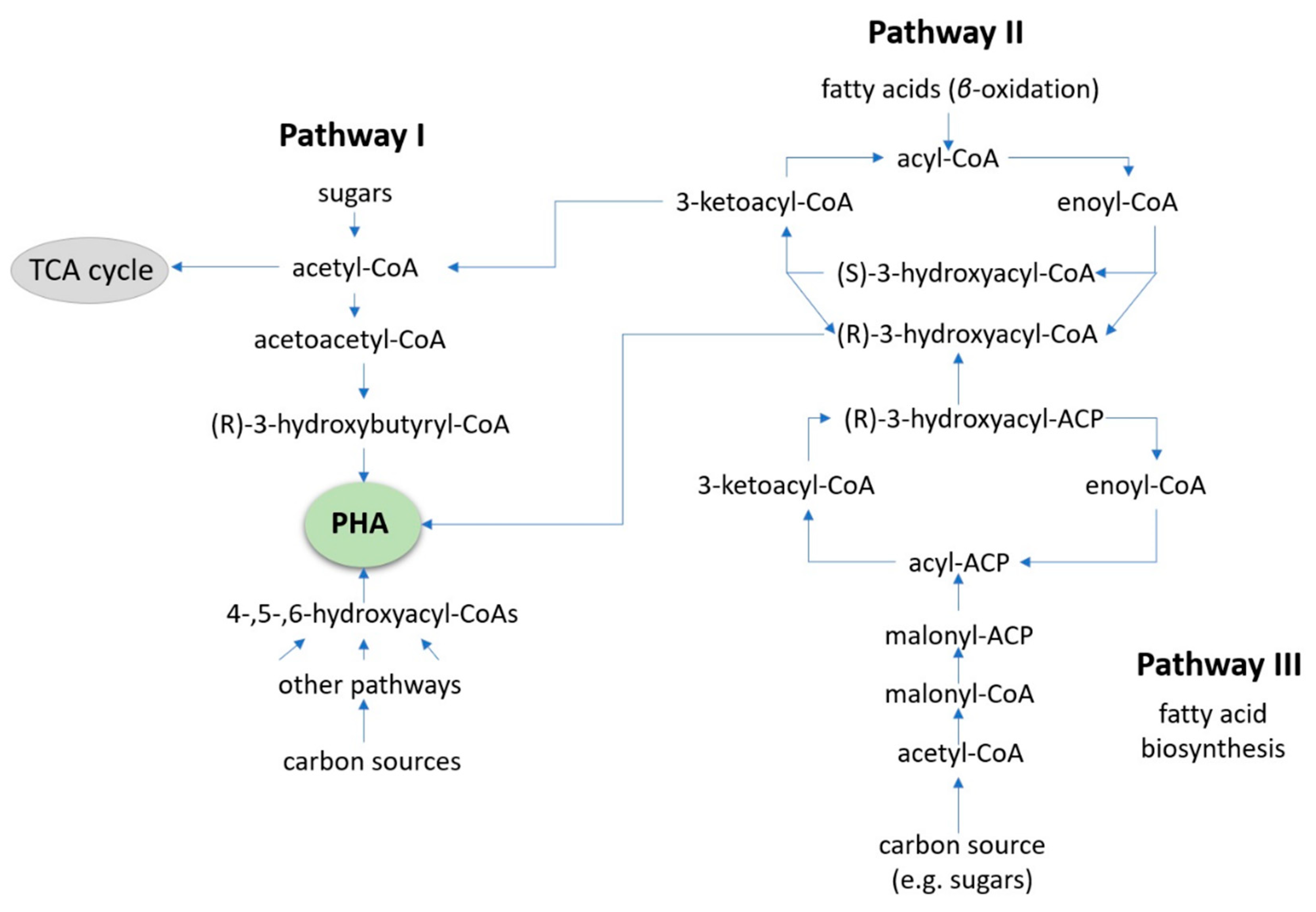 Bioengineering 09 00432 g006