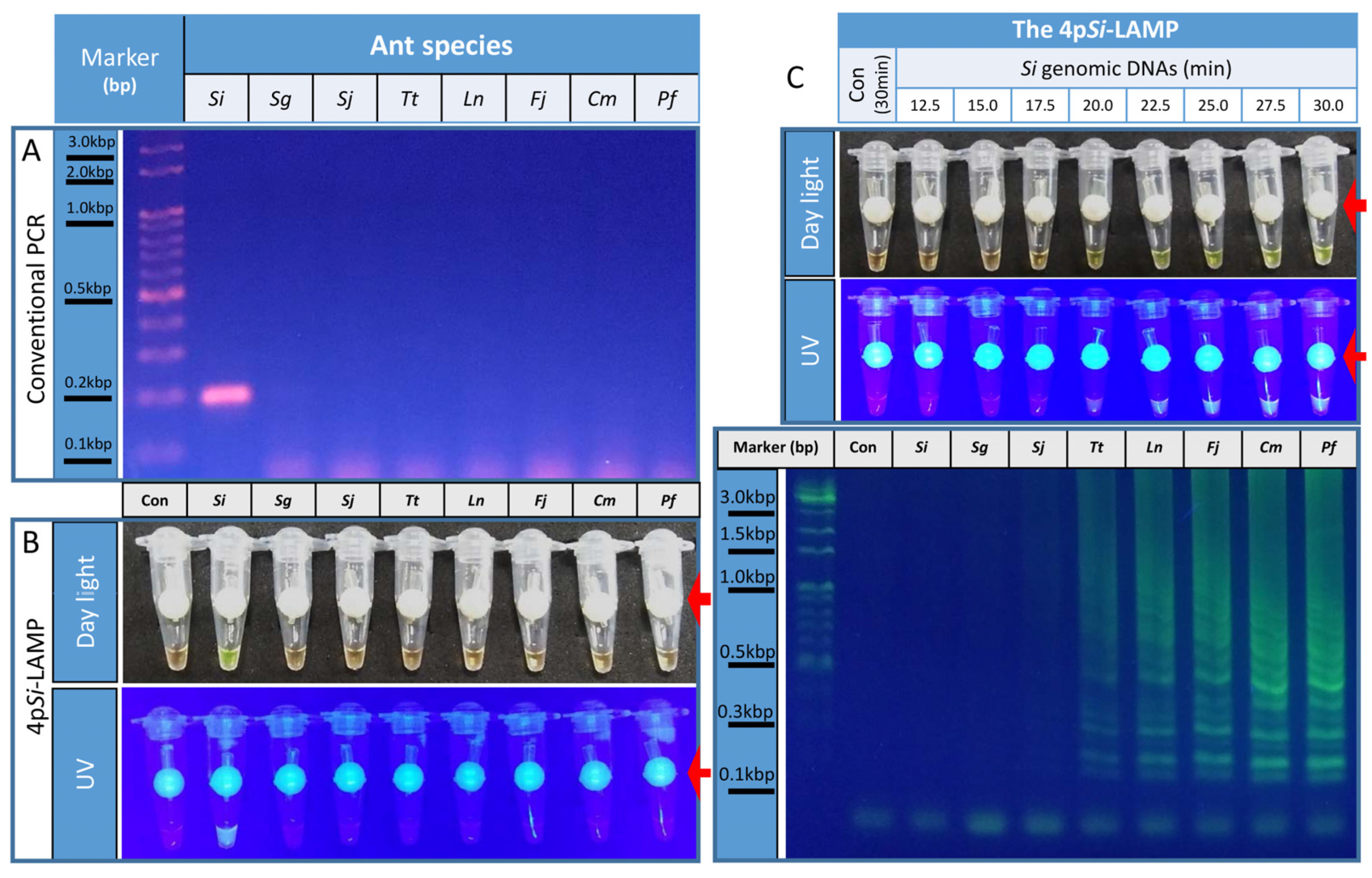 Bioengineering 09 00434 g001 550