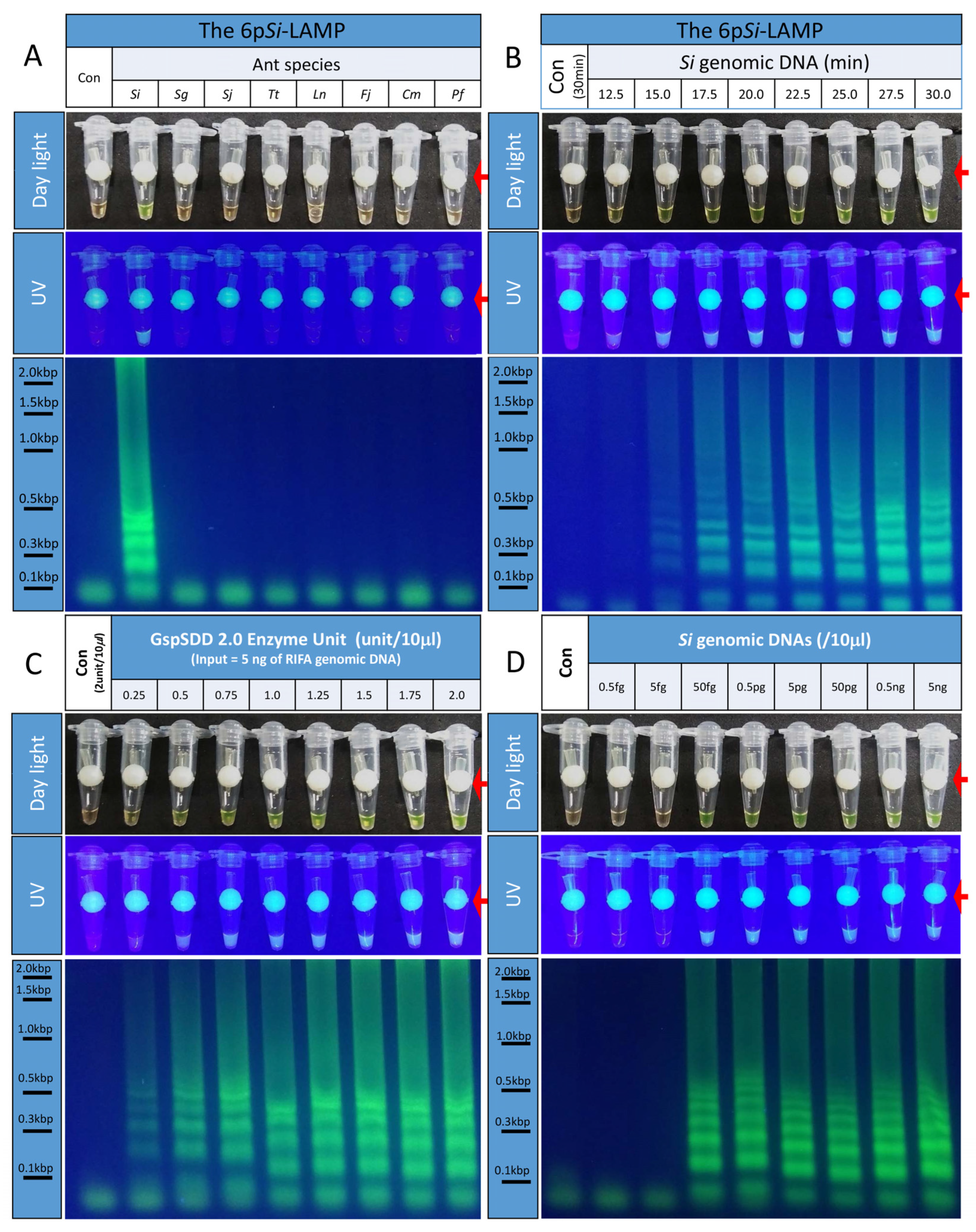 Bioengineering 09 00434 g002 550