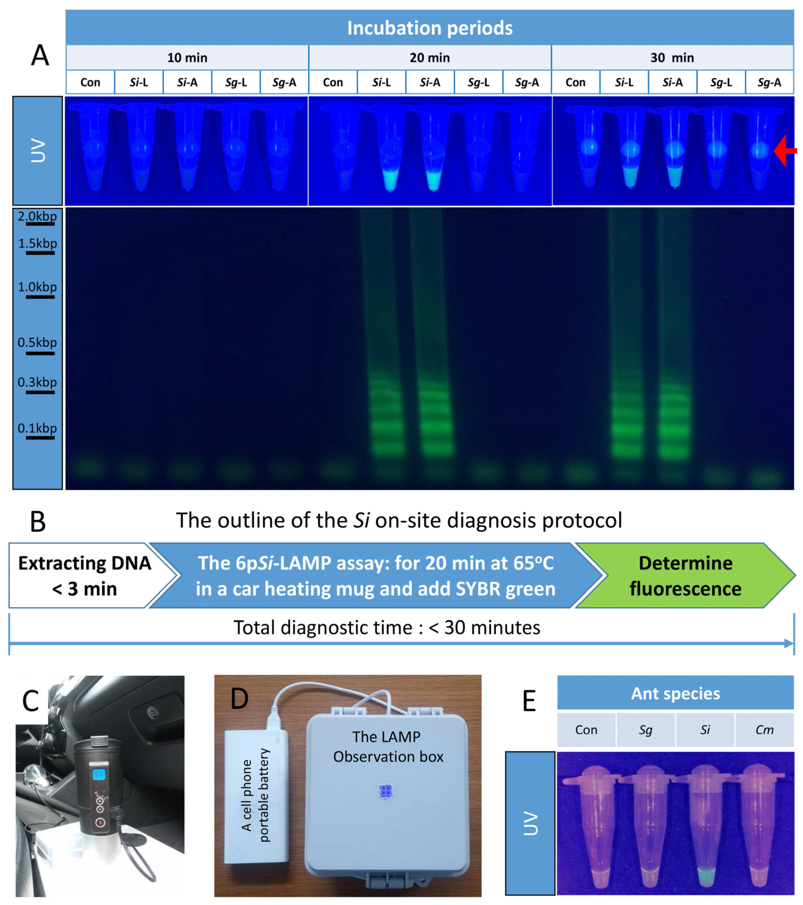 Bioengineering 09 00434 g003 550