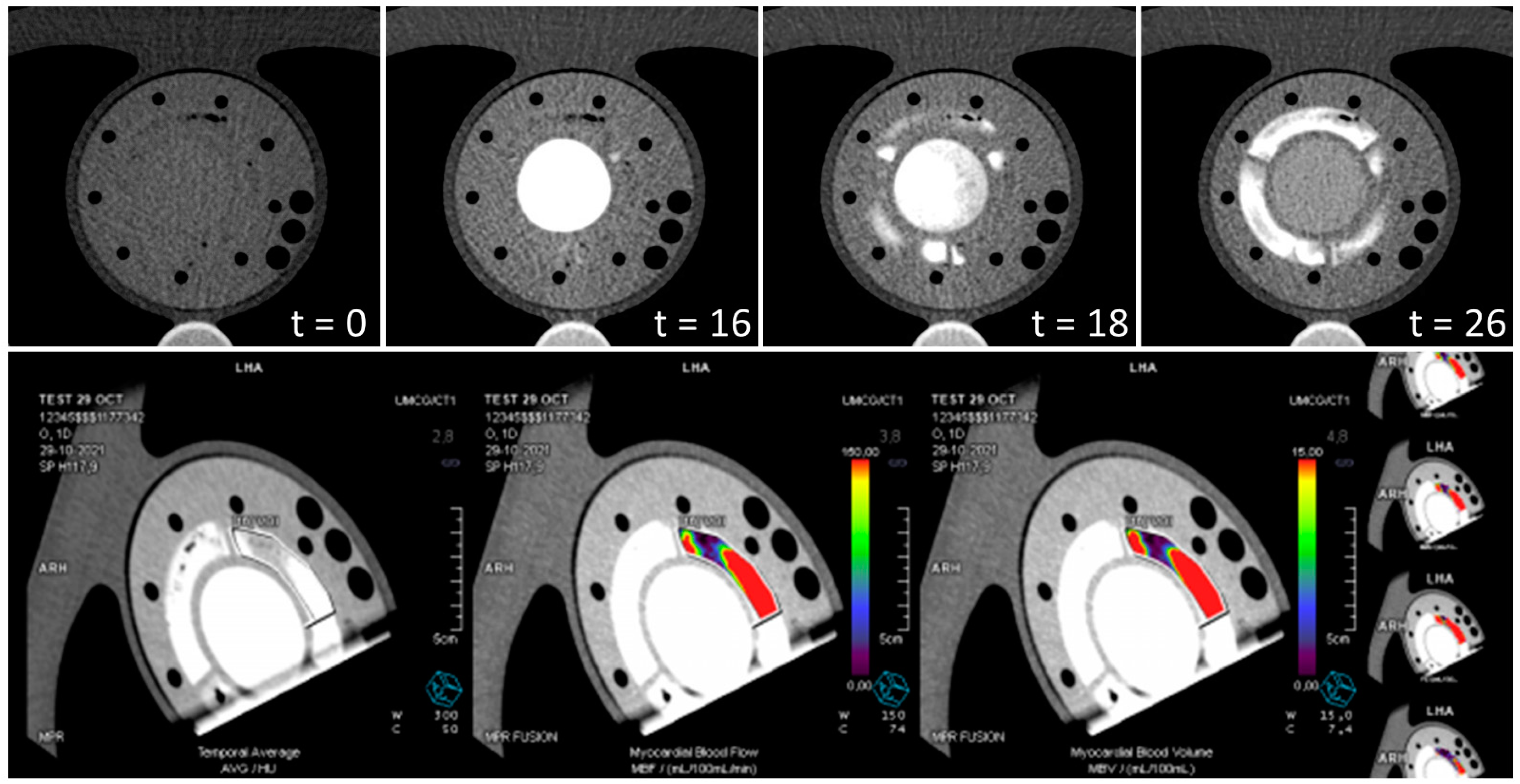 Bioengineering 09 00436 g005