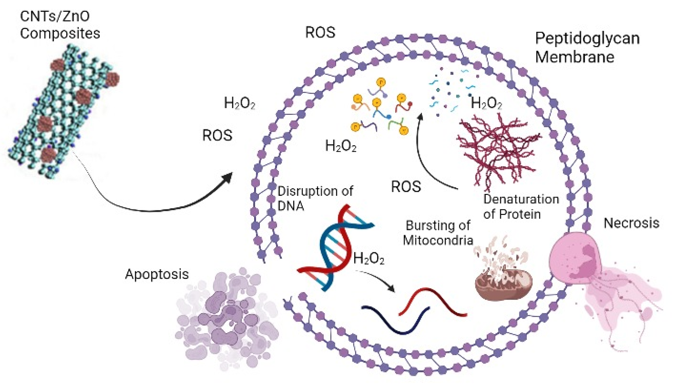 Bioengineering 09 00437 g001