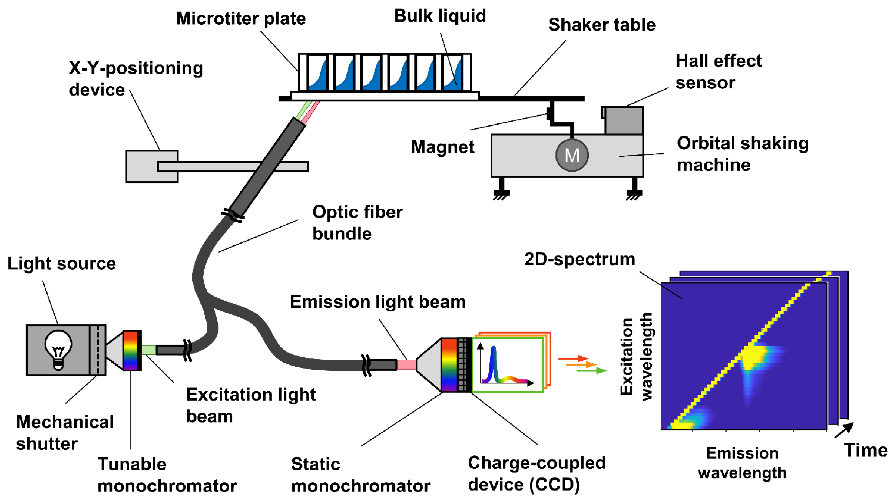Bioengineering 09 00438 g001