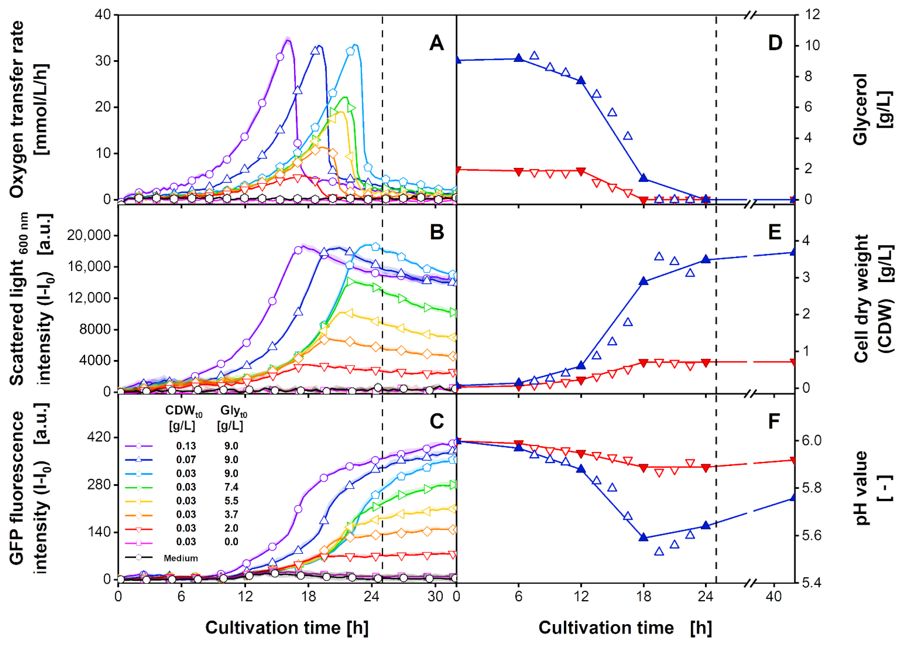 Bioengineering 09 00438 g004