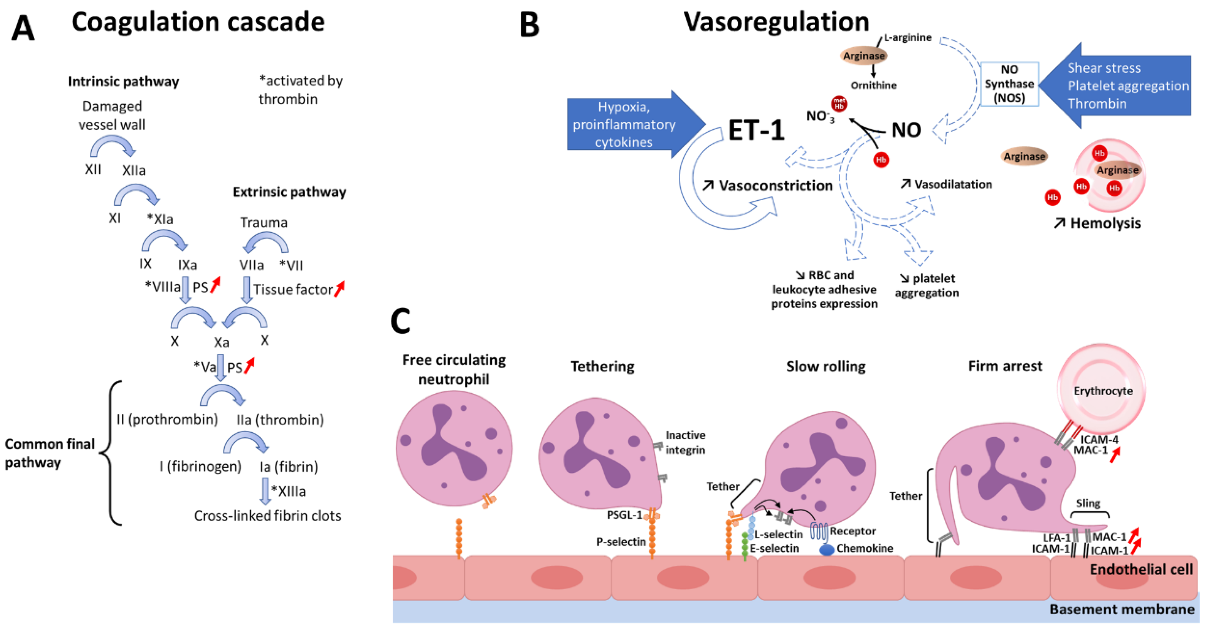 Bioengineering 09 00439 g003 550