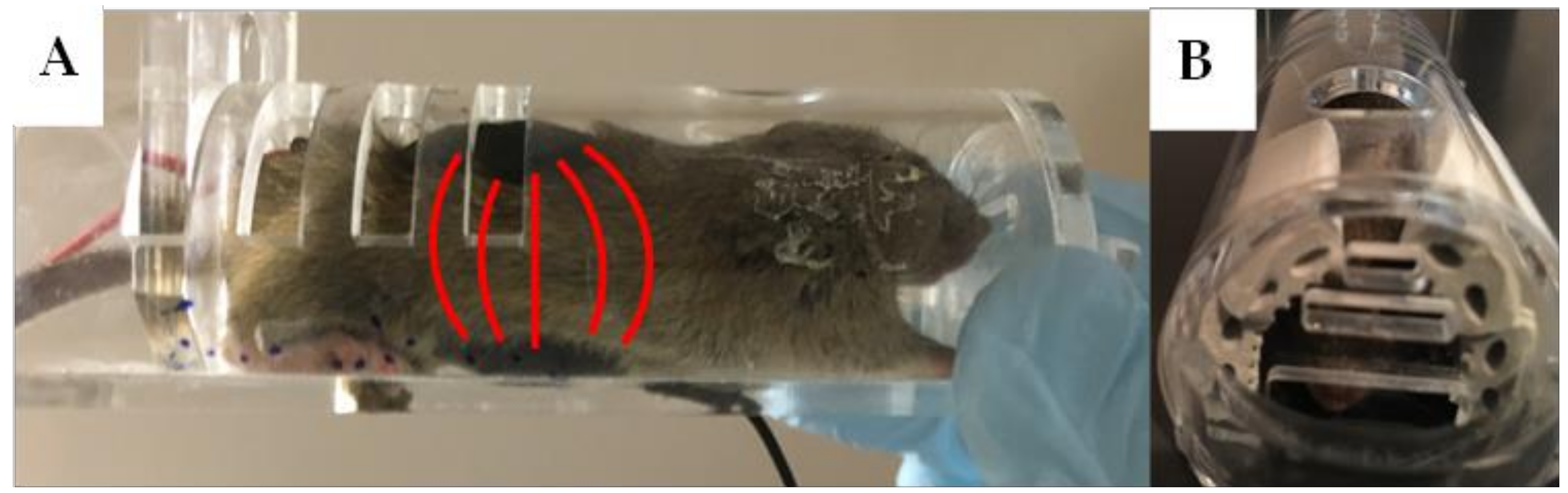 Bioengineering 09 00441 g001