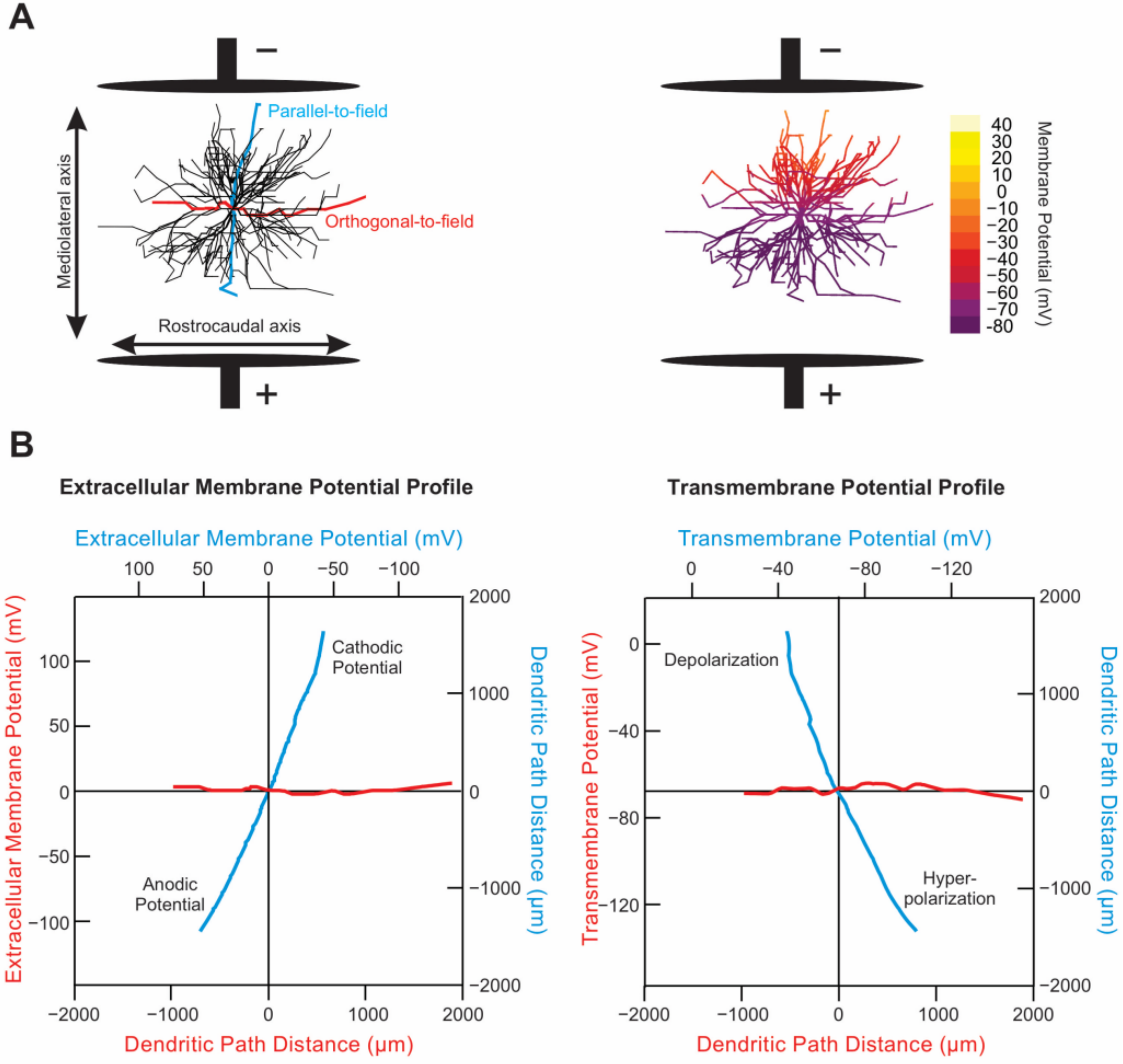 Bioengineering 09 00441 g009