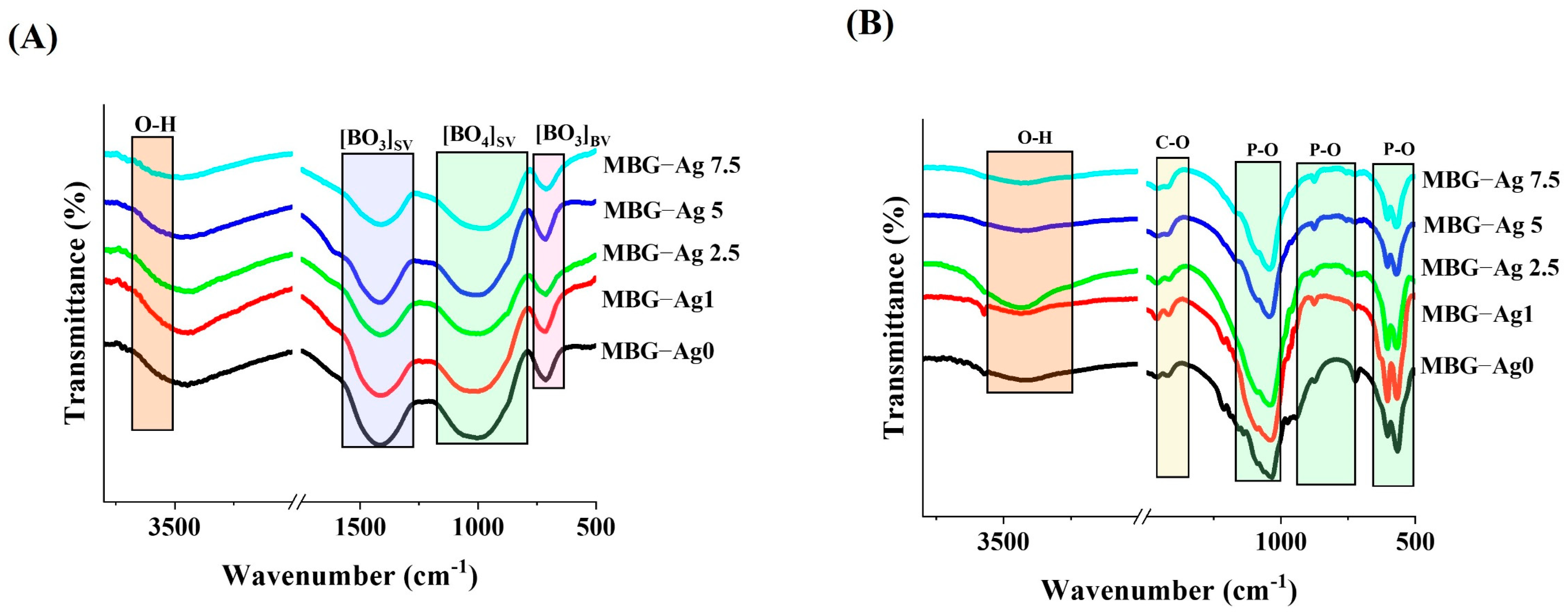 Bioengineering 09 00442 g005 550
