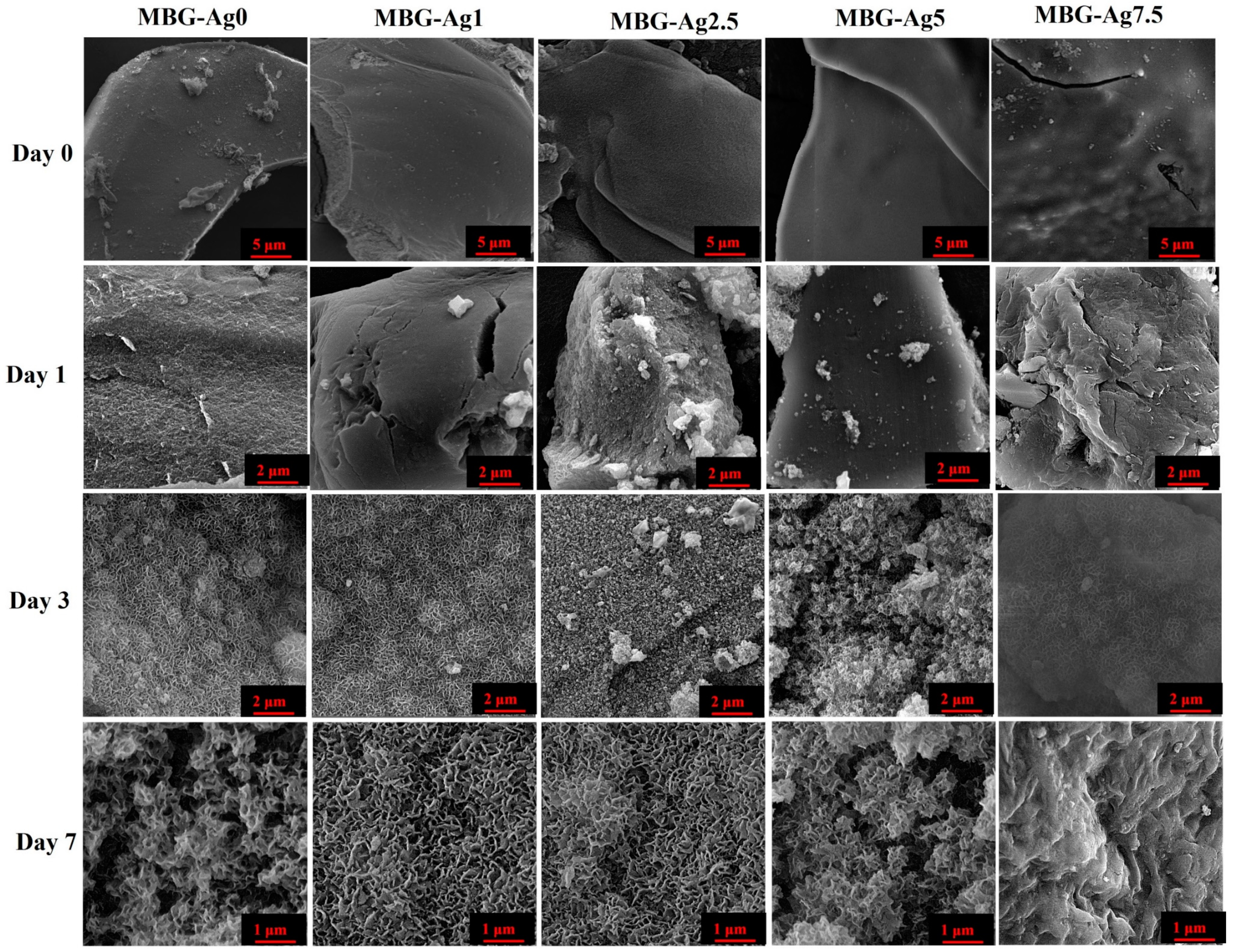 Bioengineering 09 00442 g006 550