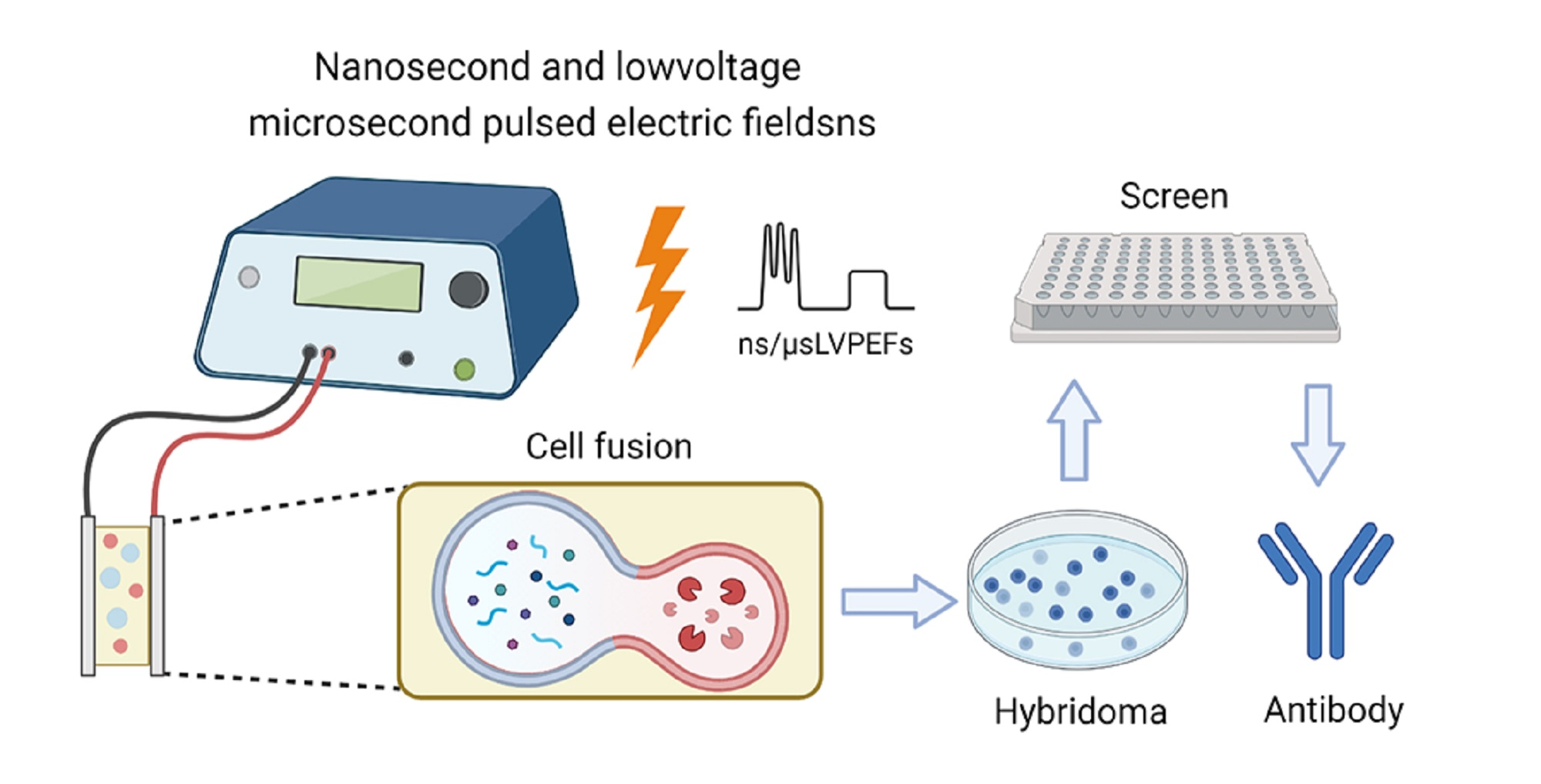 Bioengineering | Free Full-Text | Substantially Improved Electrofusion ...