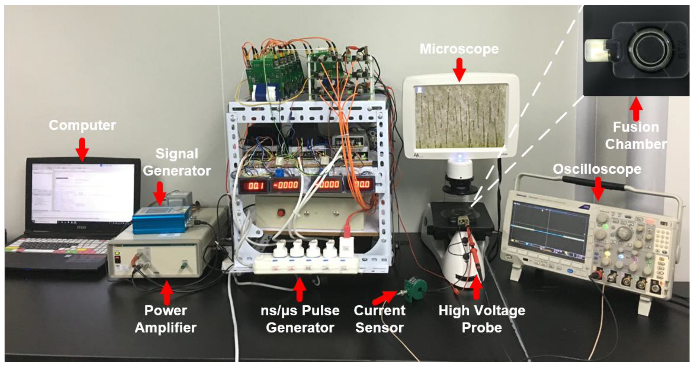 Bioengineering 09 00450 g002