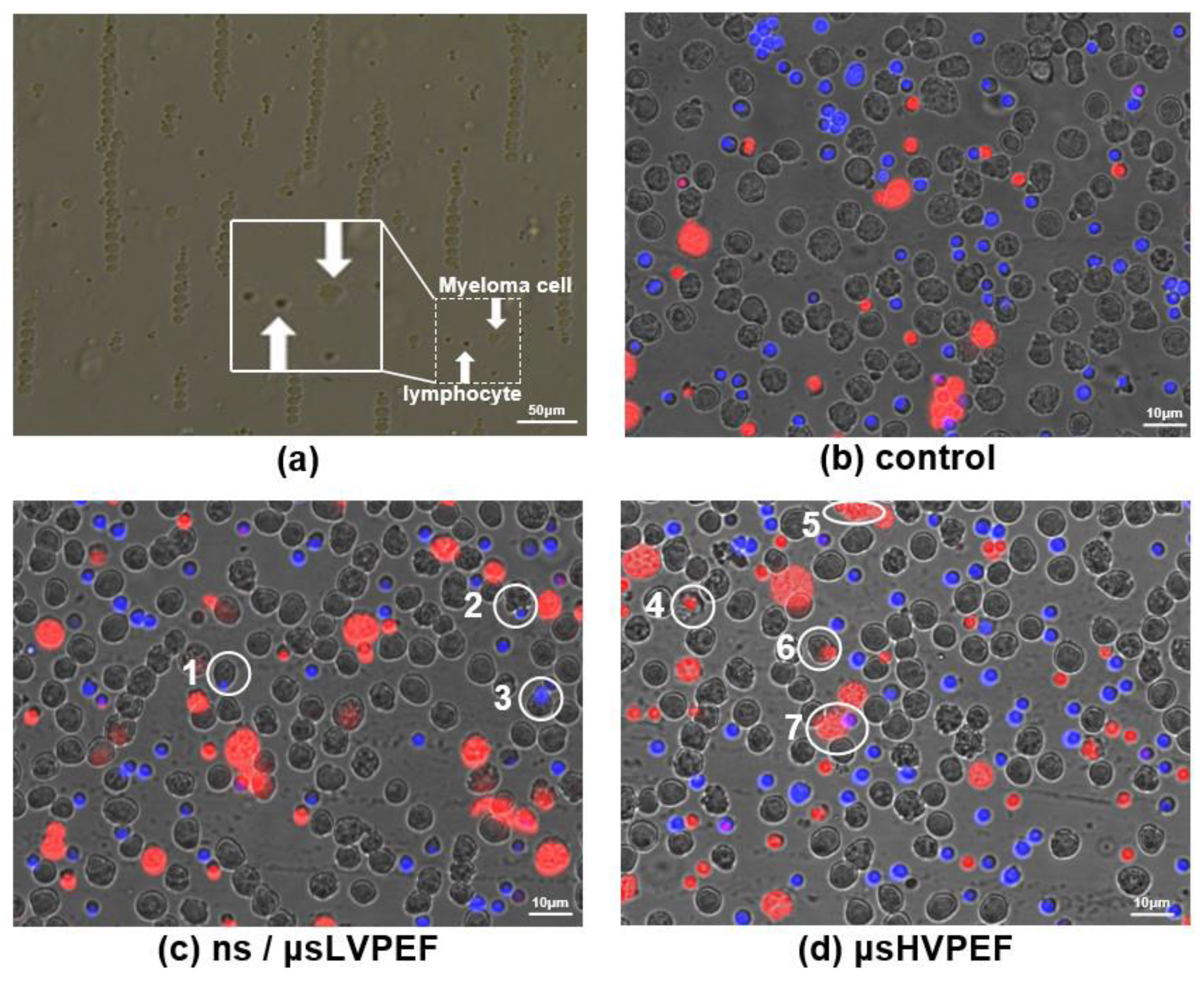 Bioengineering 09 00450 g005