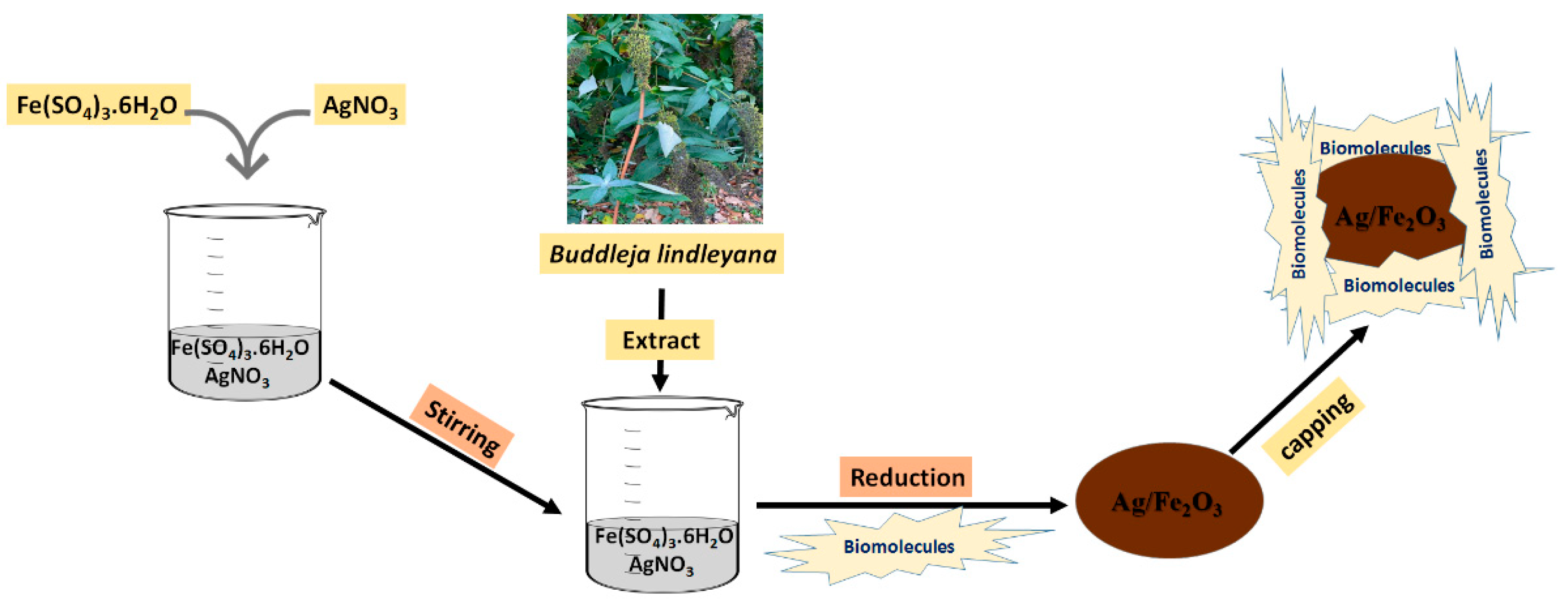 Bioengineering 09 00452 g001