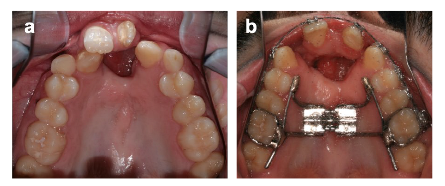 Bioengineering 09 00455 g003 550