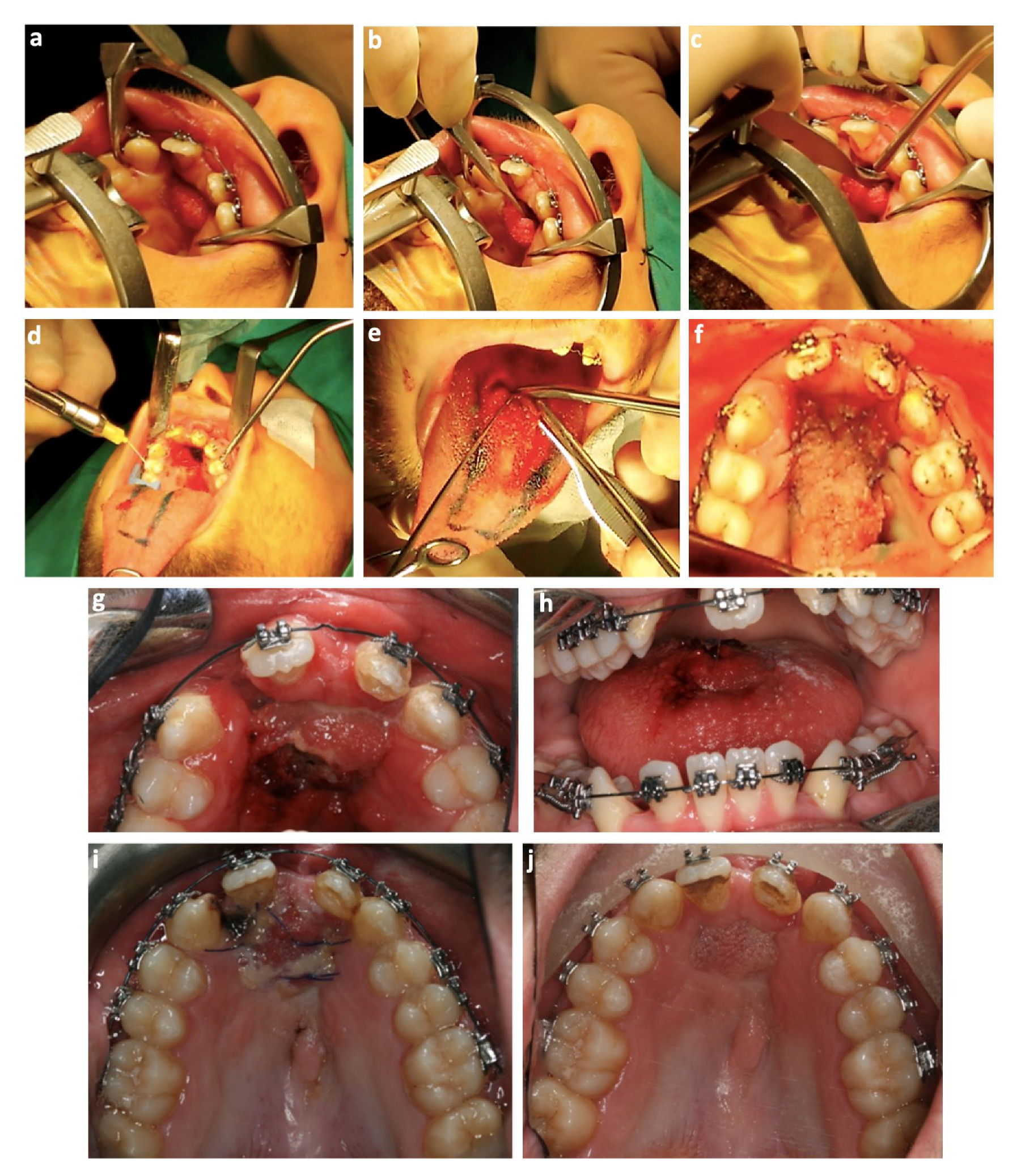 Bioengineering 09 00455 g004 550