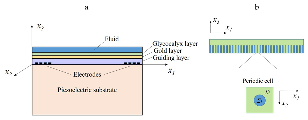 Bioengineering 09 00462 g001