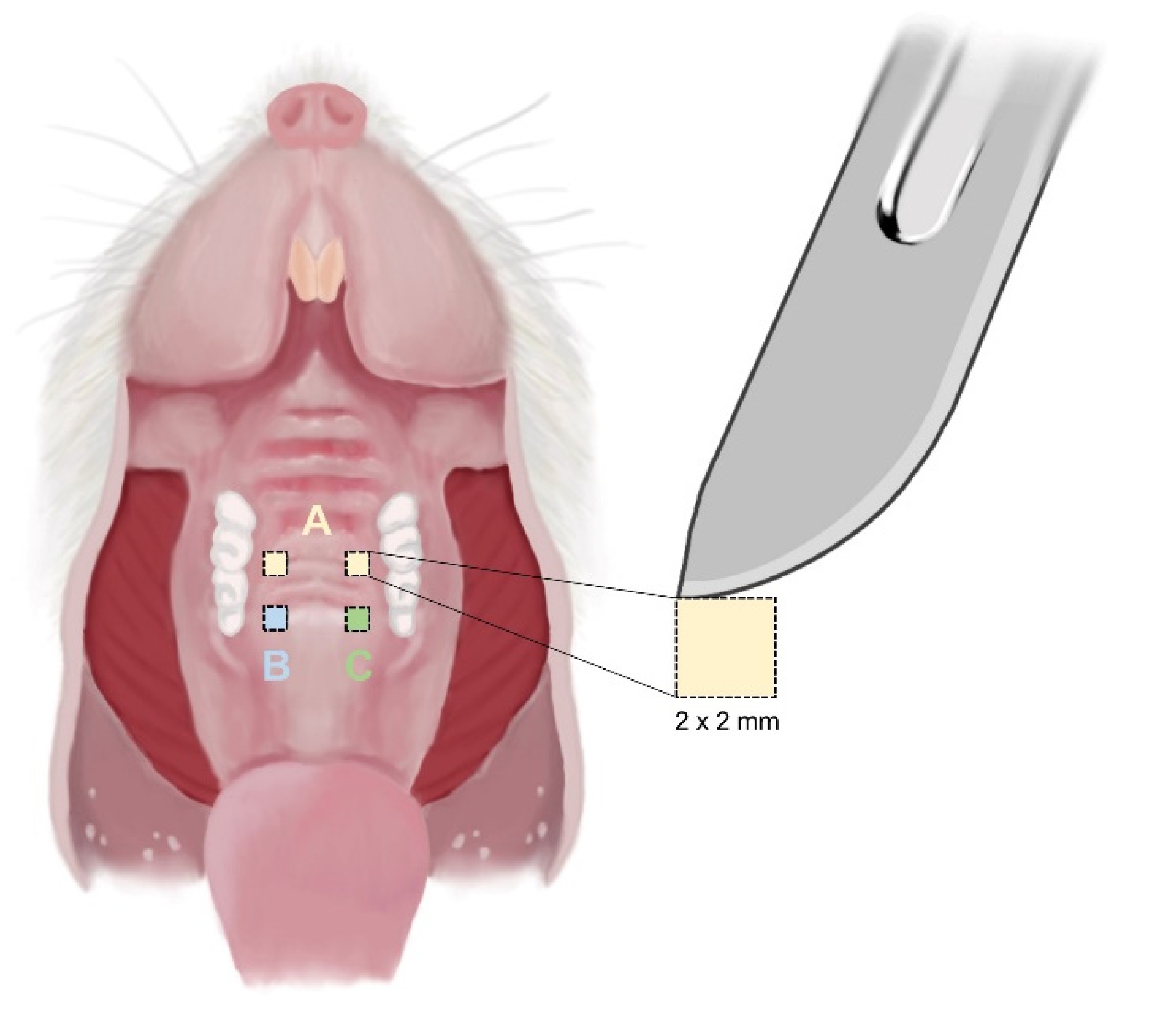 Bioengineering 09 00466 g002 550
