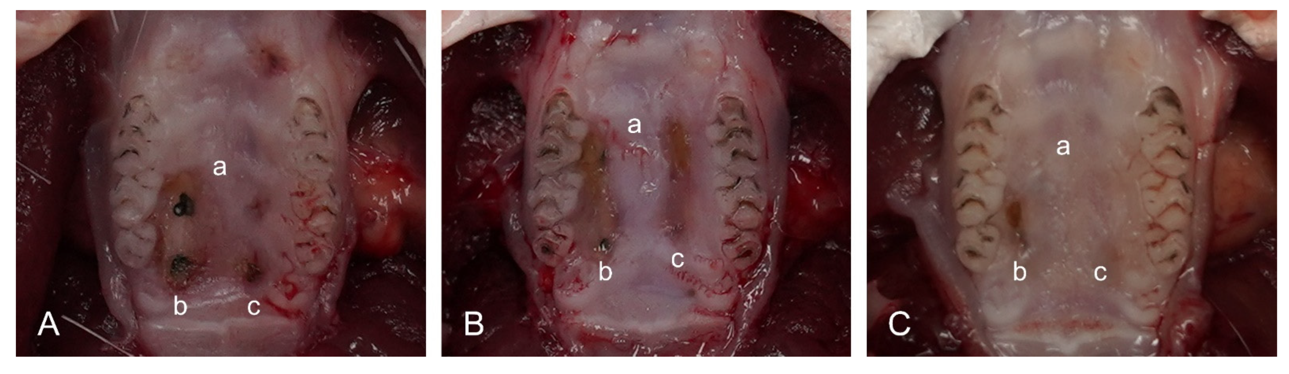 Bioengineering 09 00466 g003 550