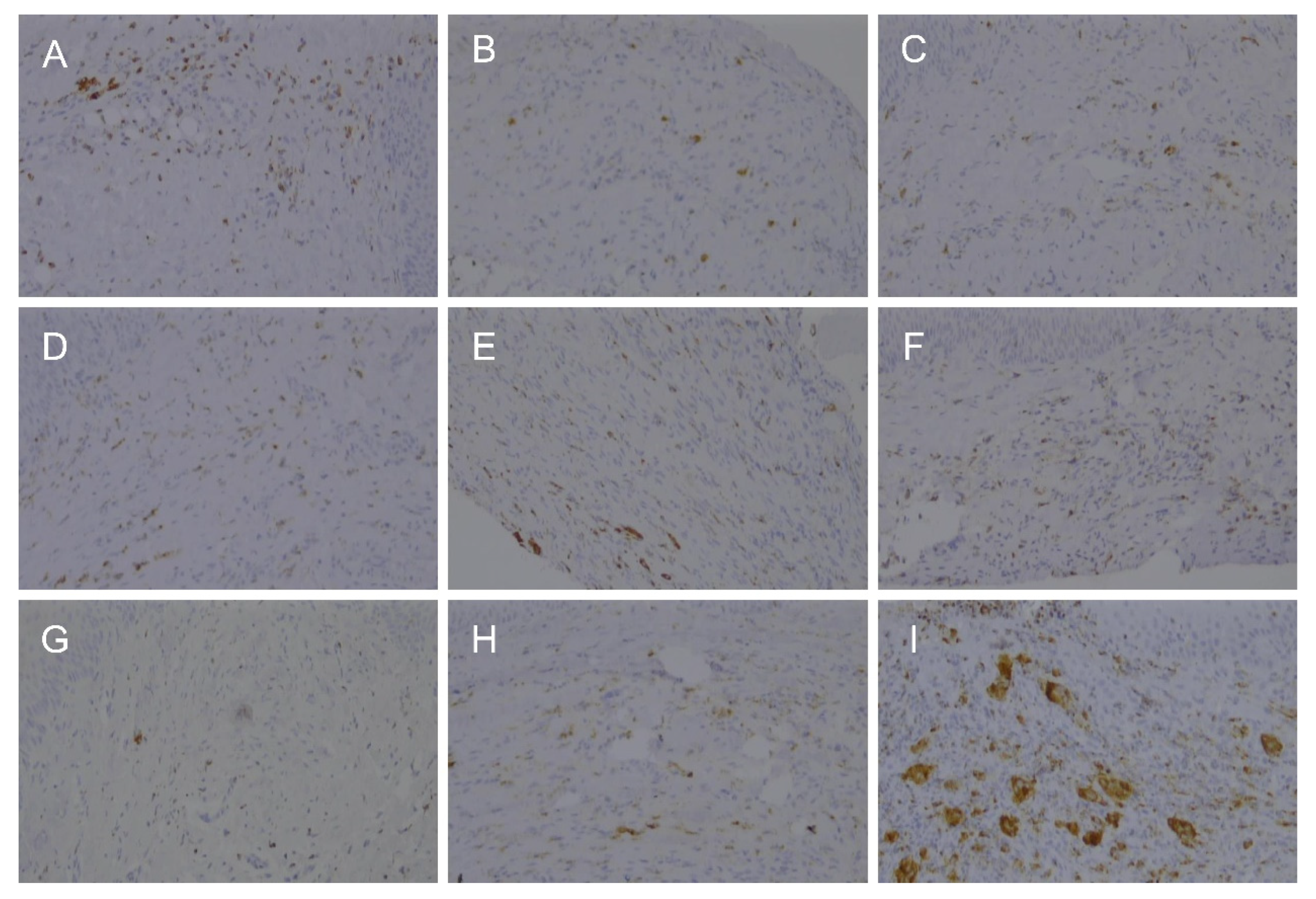 Bioengineering 09 00466 g005 550